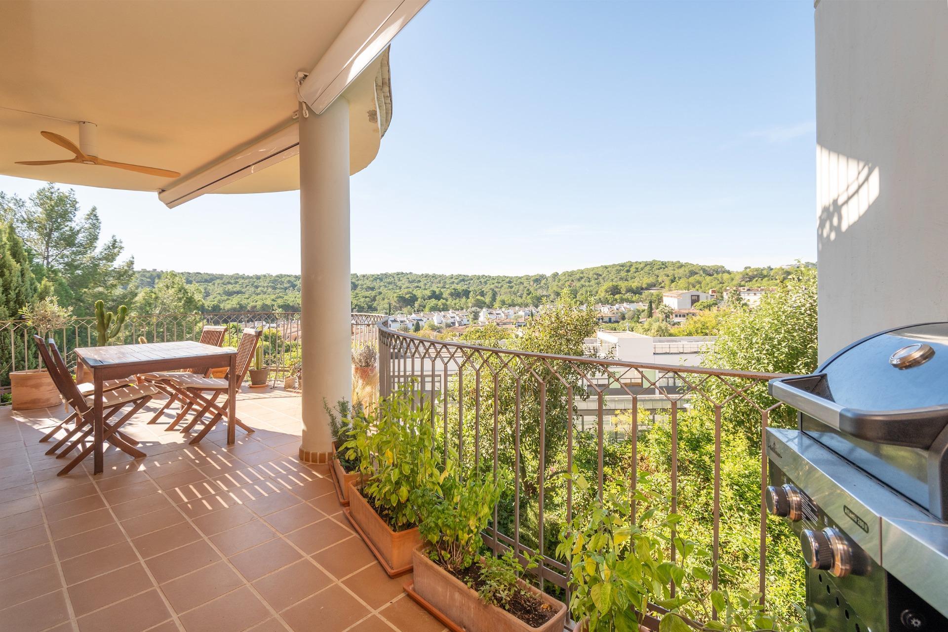 Pisos-Venta-Palma de Mallorca-1905053-Foto-13