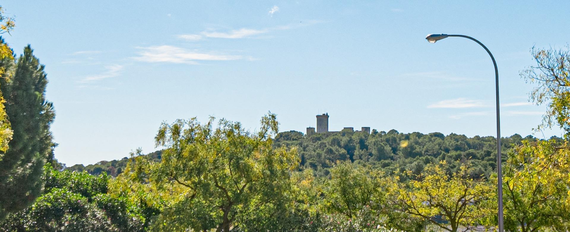 Pisos-Venta-Palma de Mallorca-1905053-Foto-25