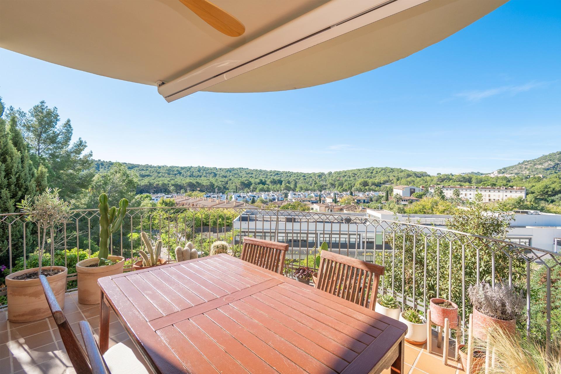 Pisos-Venta-Palma de Mallorca-1905053-Foto-42