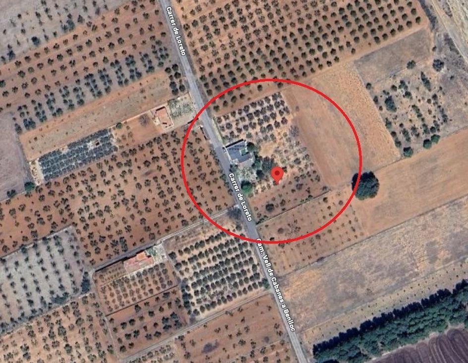 Fincas y solares-Venta-Benlloch-1943452-Foto-3