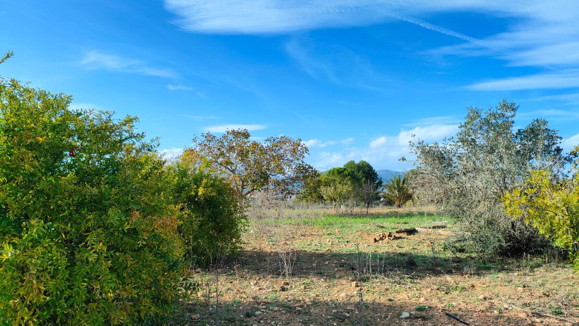 Fincas y solares-Venta-Benlloch-1943452-Foto-4