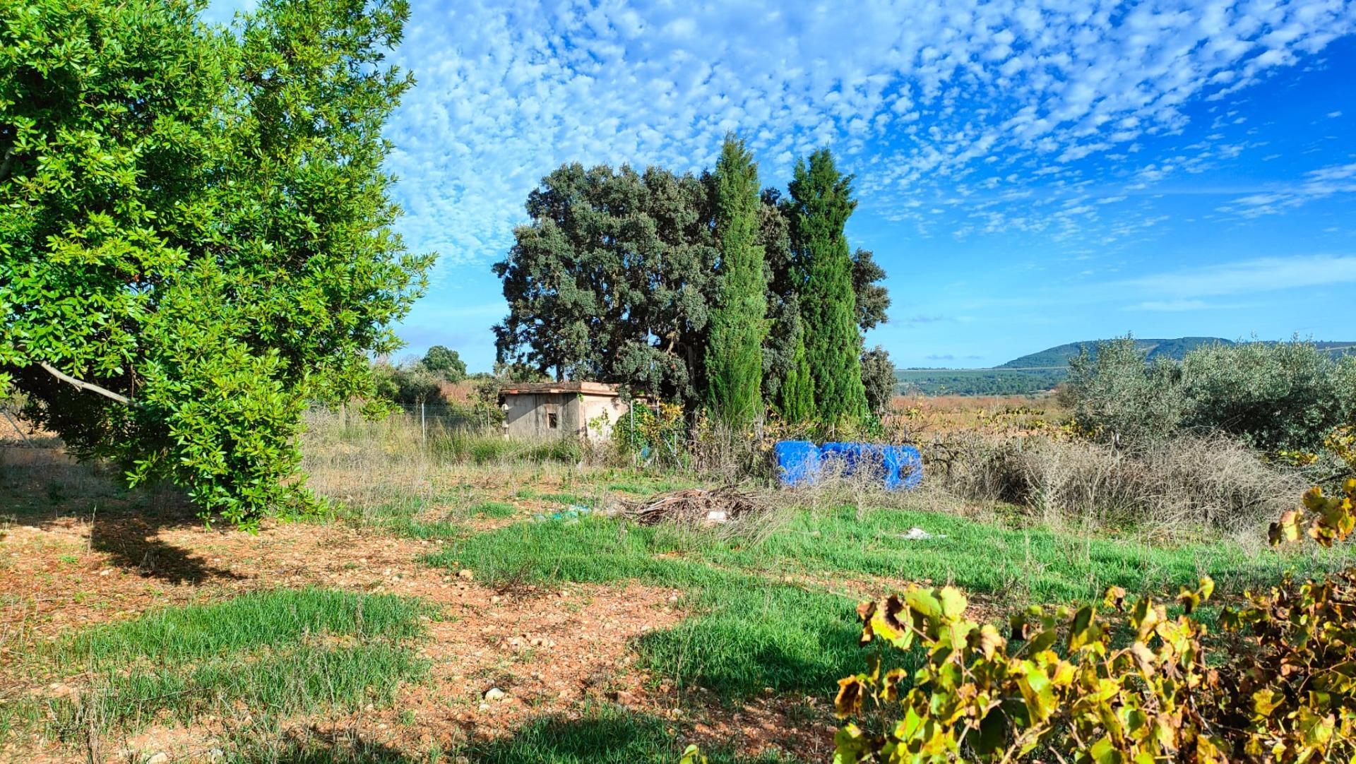 Fincas y solares-Venta-Benlloch-1943452-Foto-5