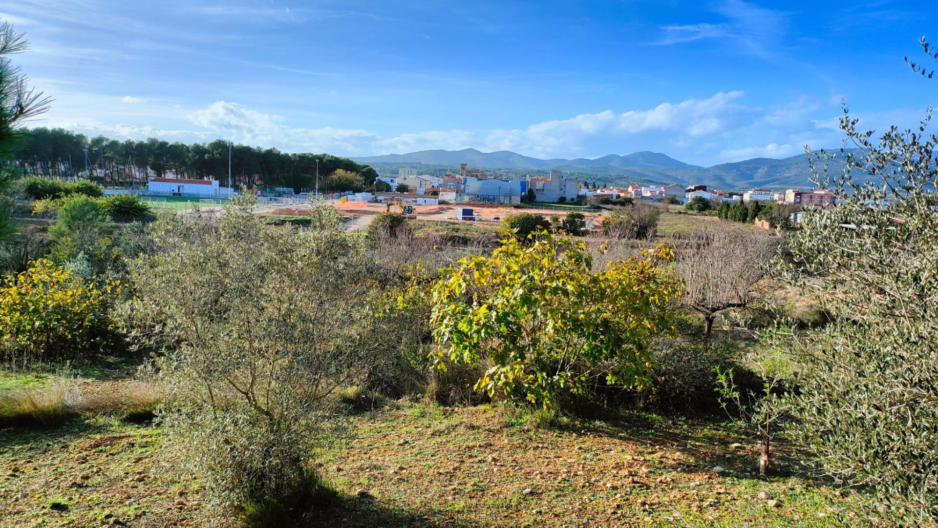 Fincas y solares-Venta-Benlloch-1943452-Foto-10