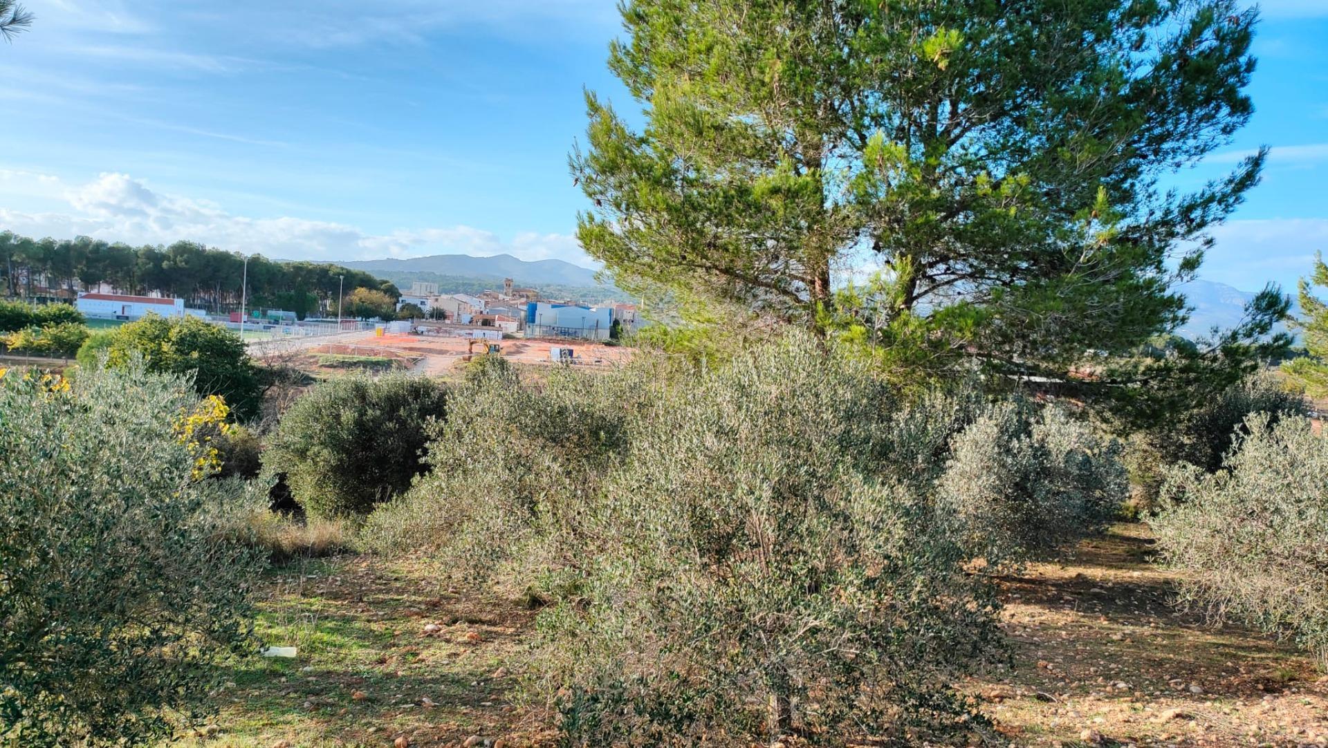 Fincas y solares-Venta-Benlloch-1943452-Foto-9