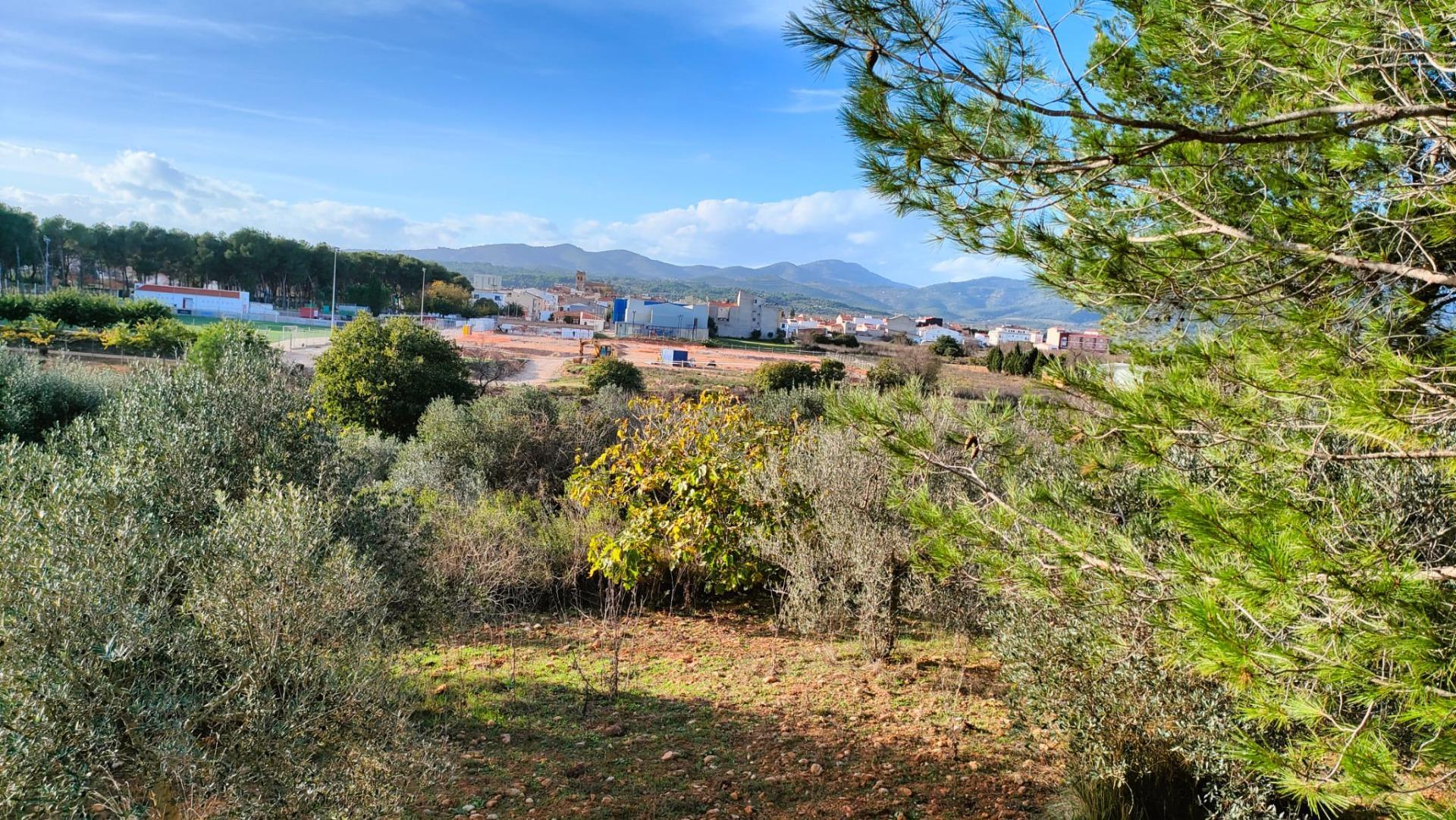 Fincas y solares-Venta-Benlloch-1943452-Foto-11