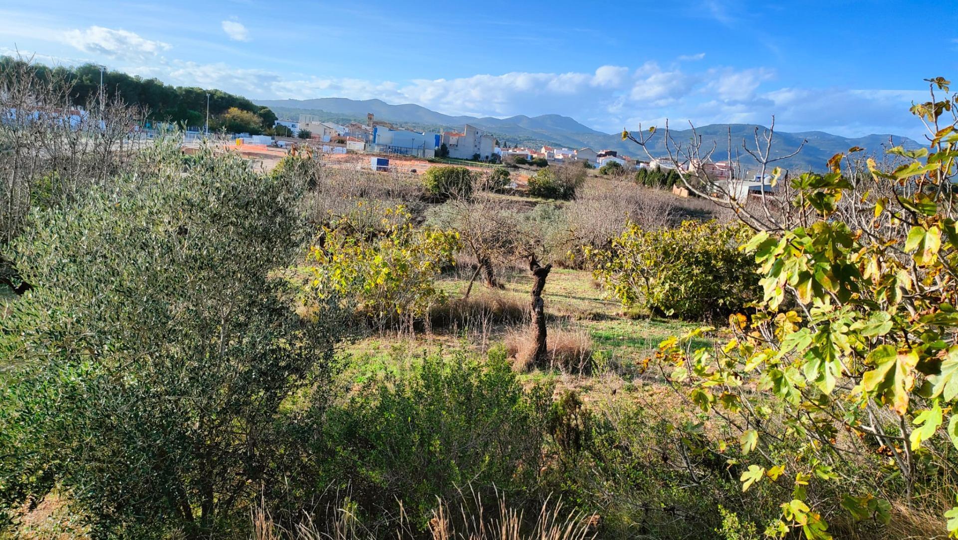 Fincas y solares-Venta-Benlloch-1943452-Foto-16