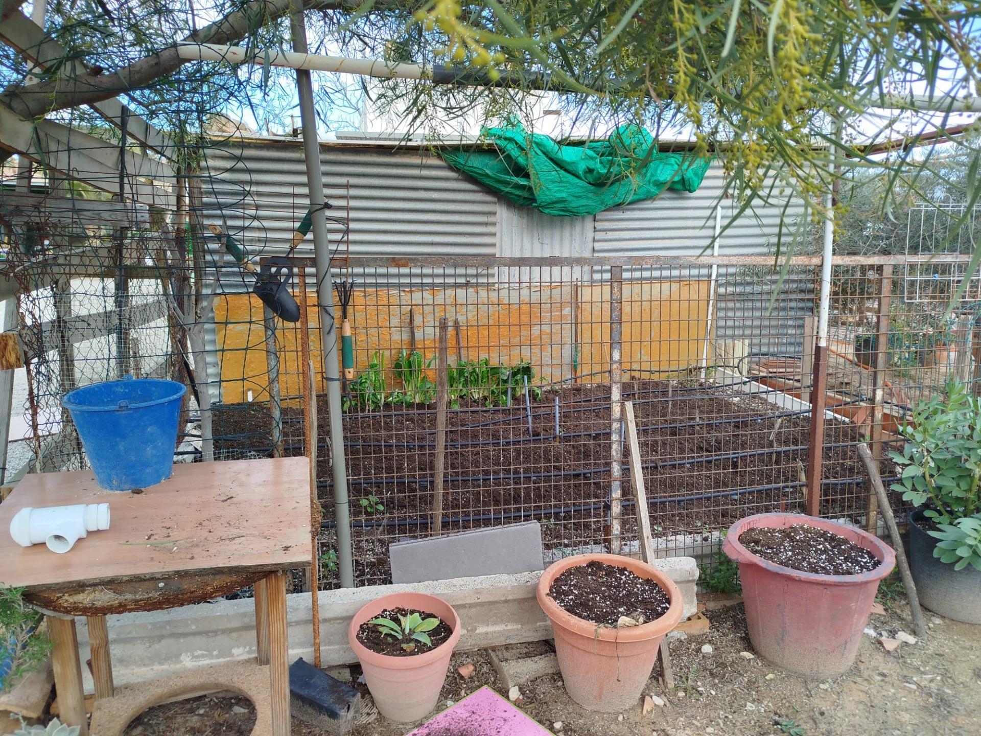 Pisos-Venta-Murcia-1658825-Foto-43