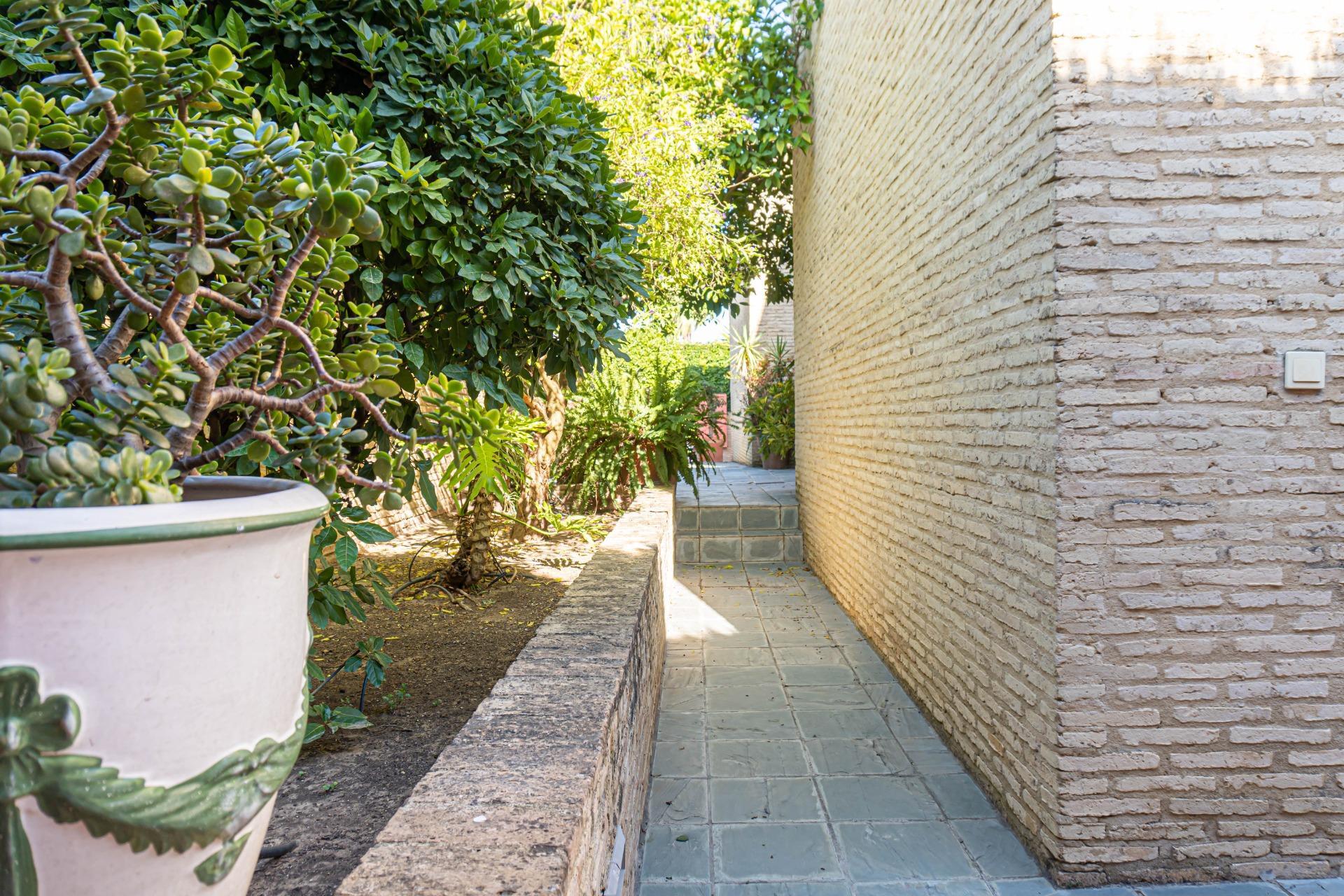 Casas o chalets-Venta-Valencina de la ConcepciÃ³n-1839860-Foto-61