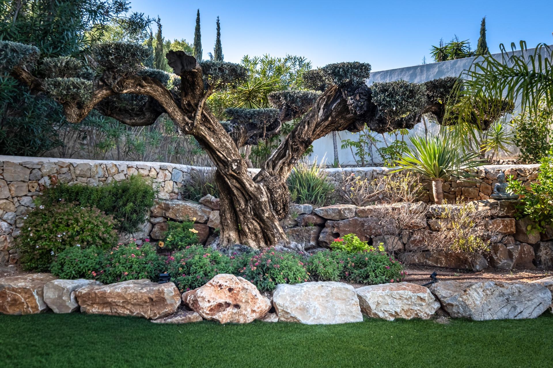 Casas o chalets-Venta-DÃ©nia-1969422-Foto-39