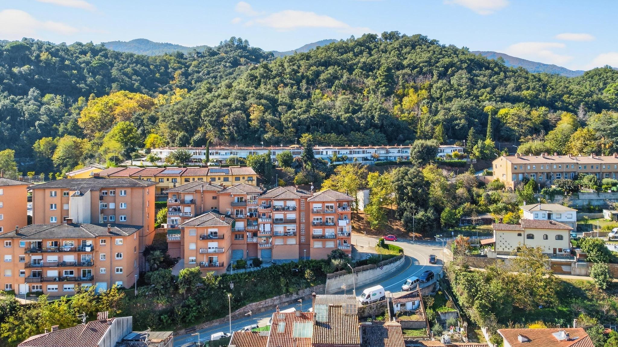 Negocios-Venta-ArbÃºcies-1941507-Foto-3