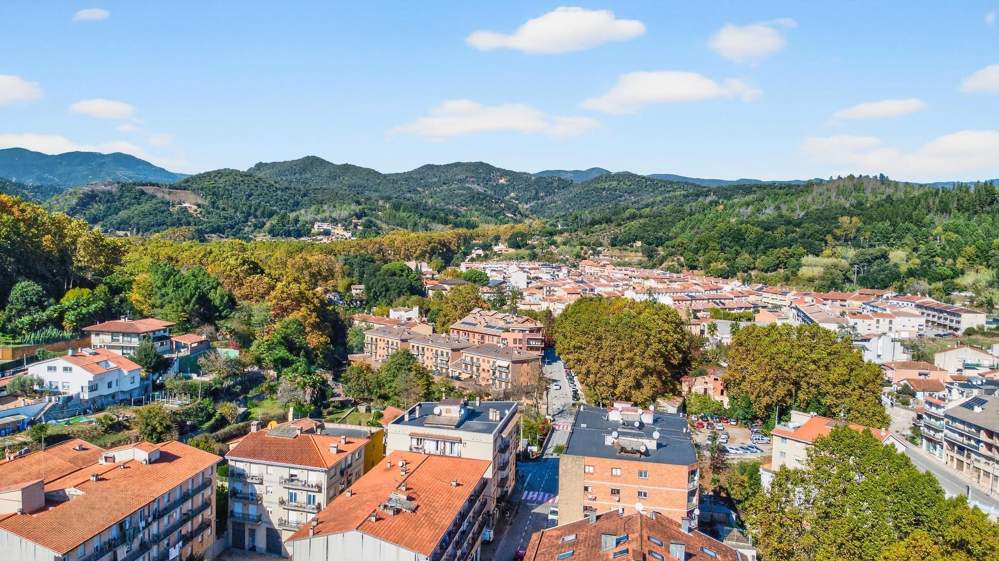 Negocios-Venta-ArbÃºcies-1941507-Foto-4