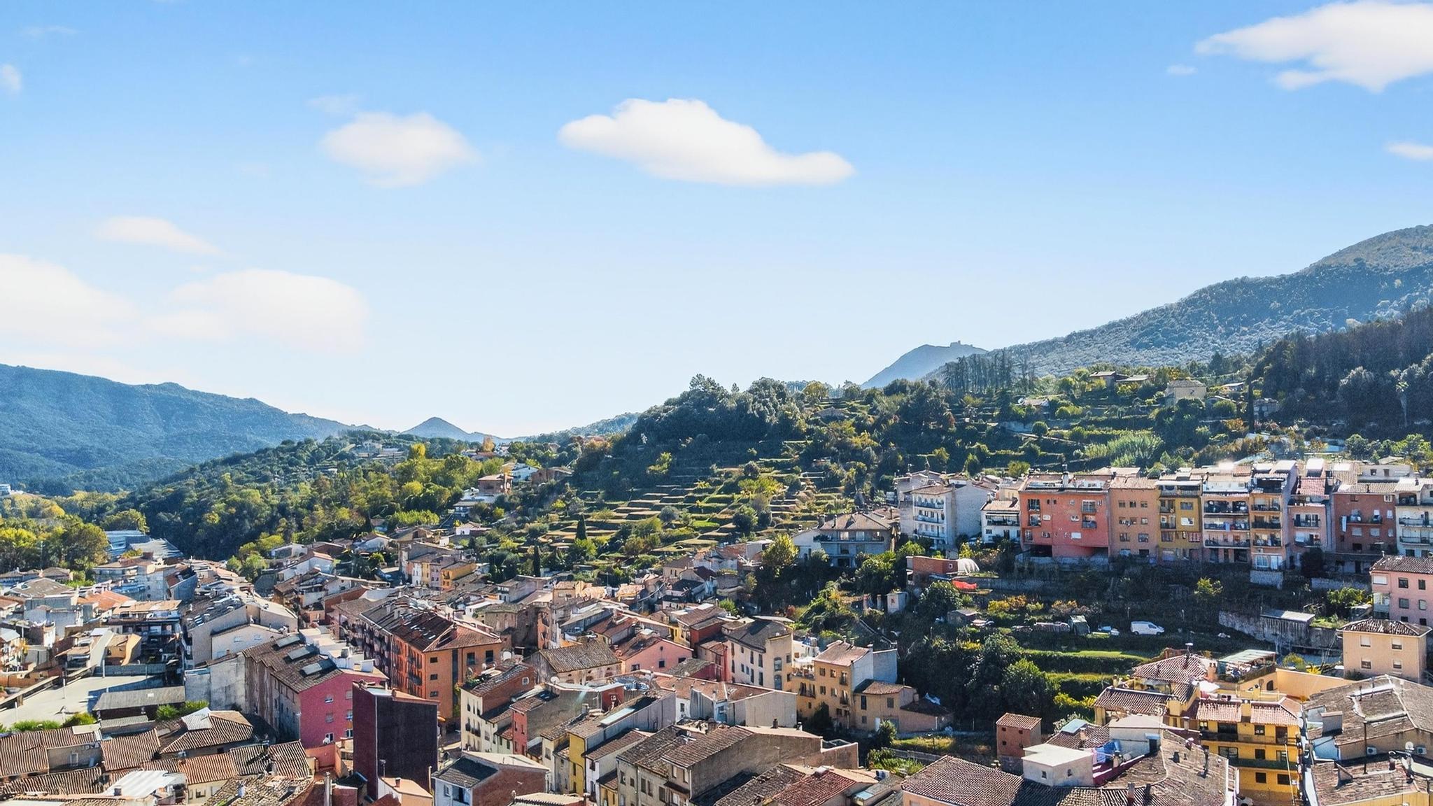 Negocios-Venta-ArbÃºcies-1941507-Foto-8