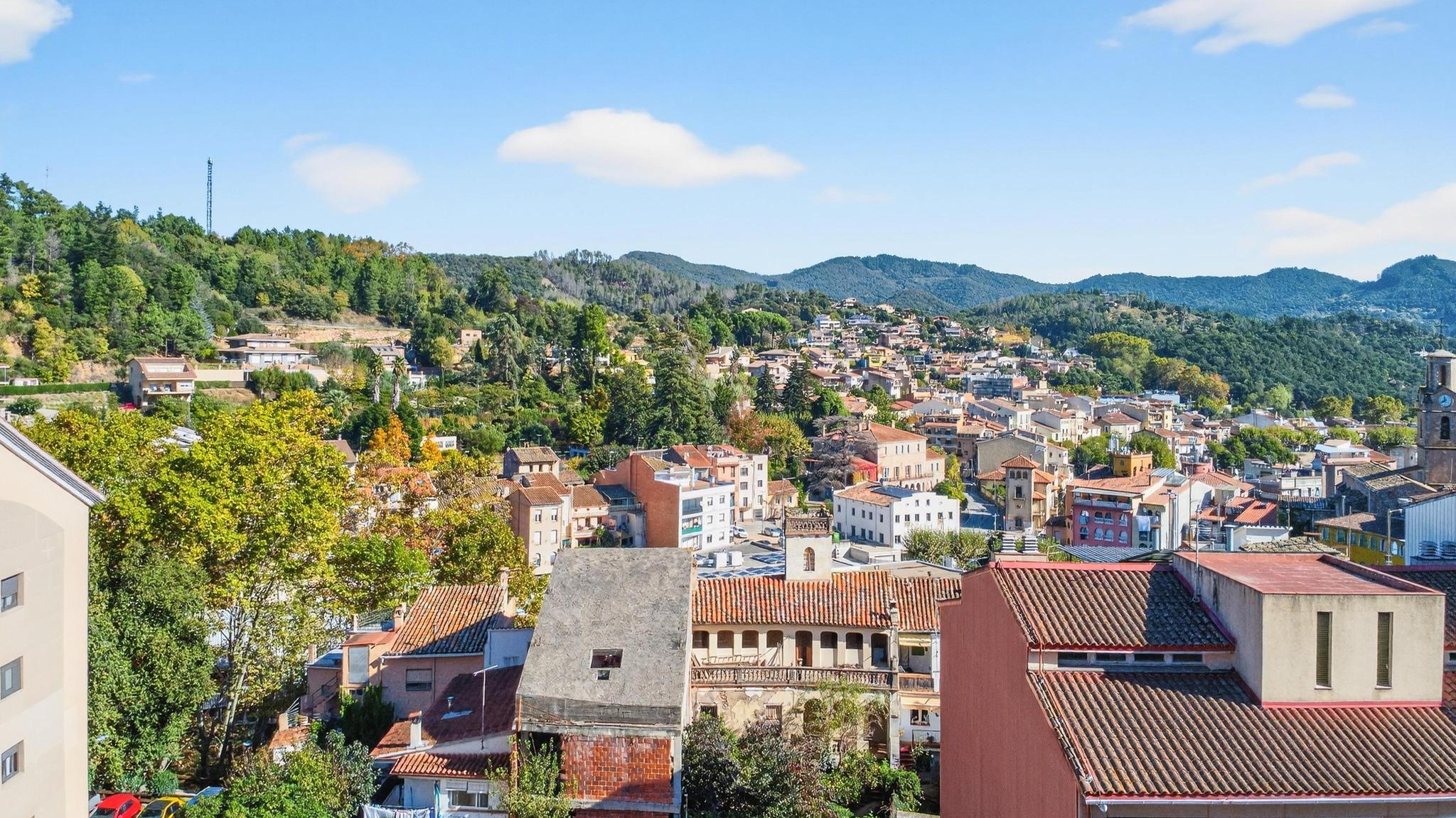 Negocios-Venta-ArbÃºcies-1941507-Foto-26