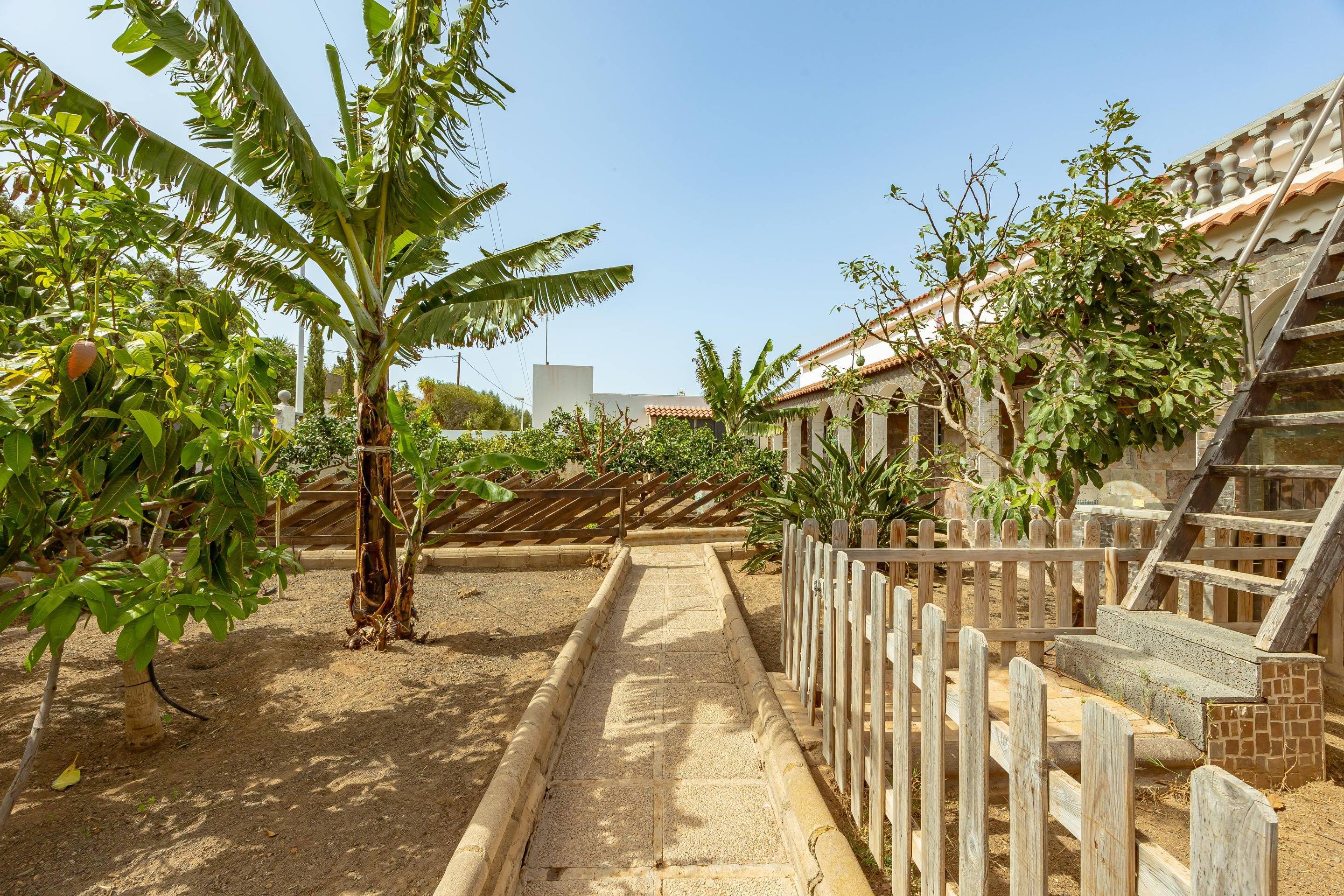 Casas o chalets-Venta-Telde-1835705-Foto-37