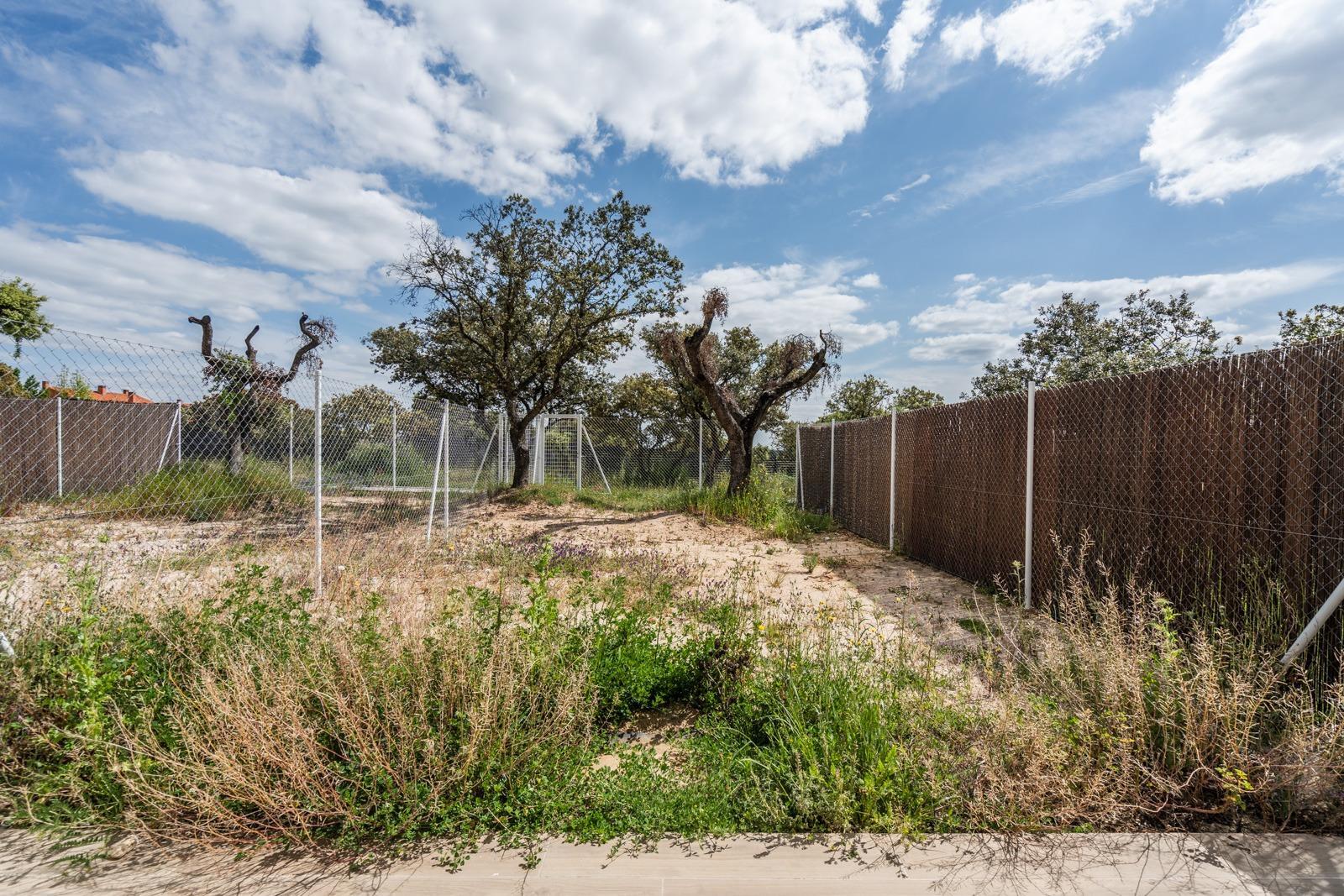 Casas o chalets-Venta-Las Rozas de Madrid-1884799-Foto-68