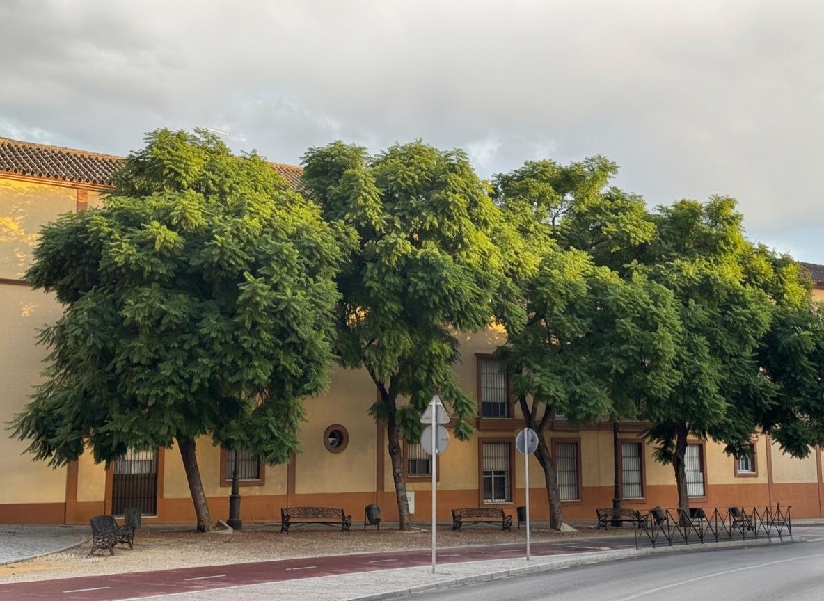 Pisos-Venta-Jerez de la Frontera-1943470-Foto-23