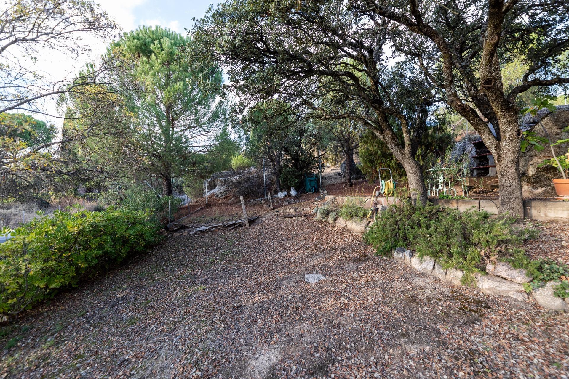 Casas o chalets-Venta-Hoyo de Manzanares-1942861-Foto-45