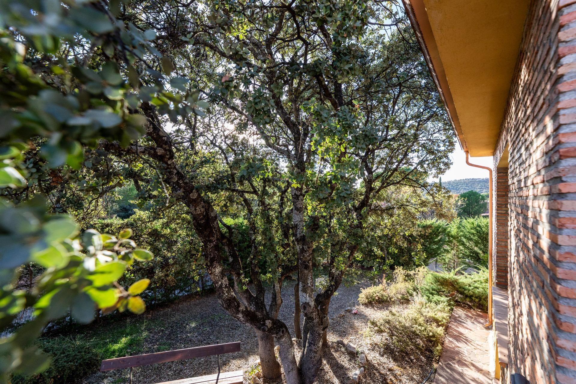 Casas o chalets-Venta-Hoyo de Manzanares-1942861-Foto-52