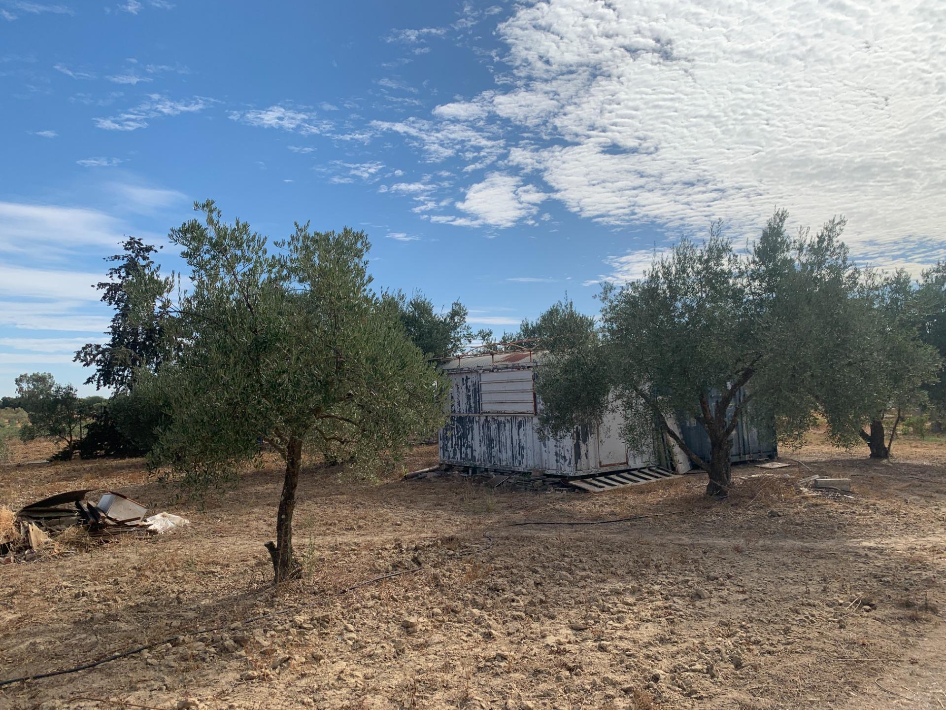 Fincas y solares-Venta-Villalba del Alcor-1968537-Foto-2