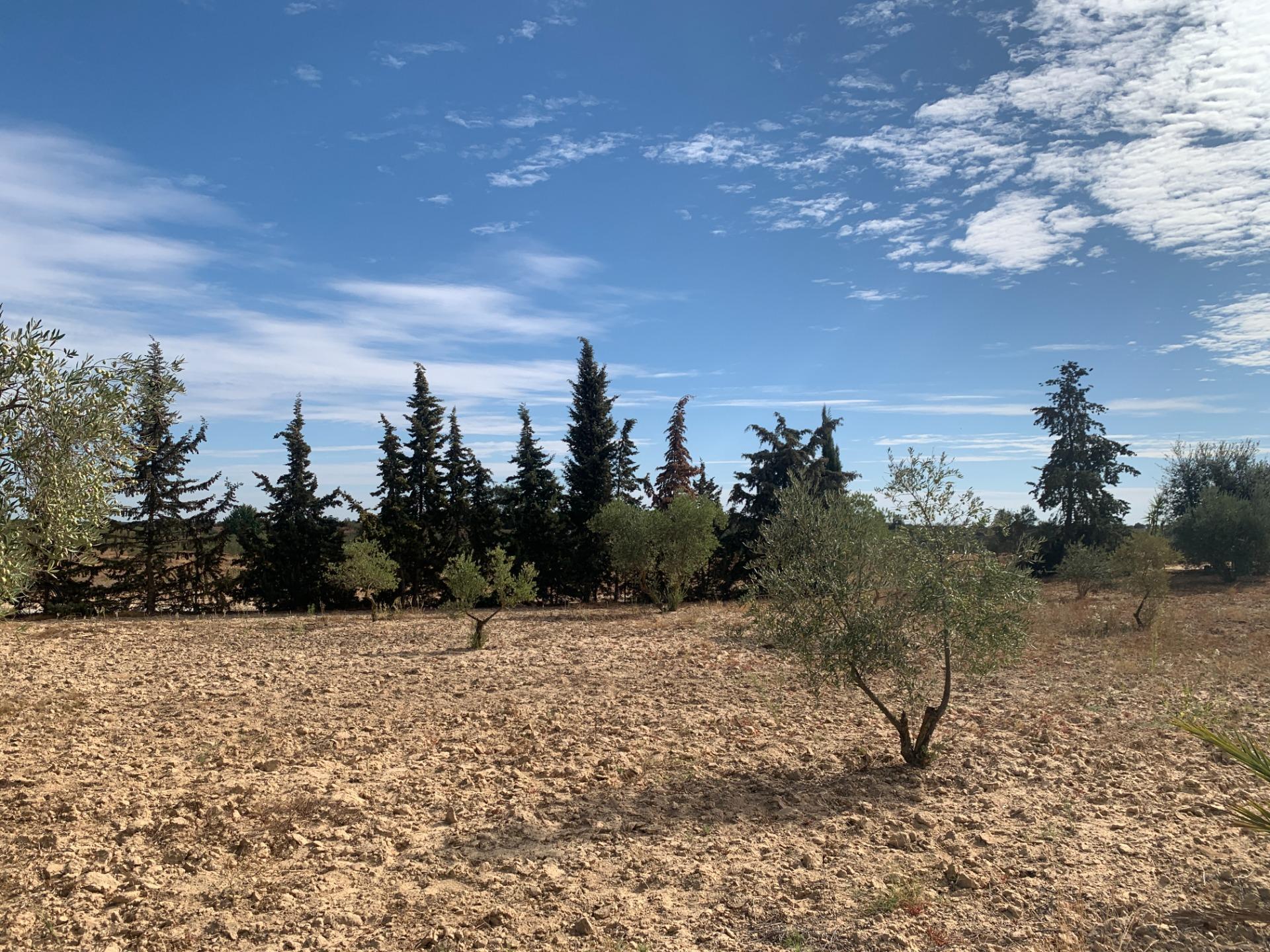 Fincas y solares-Venta-1968537