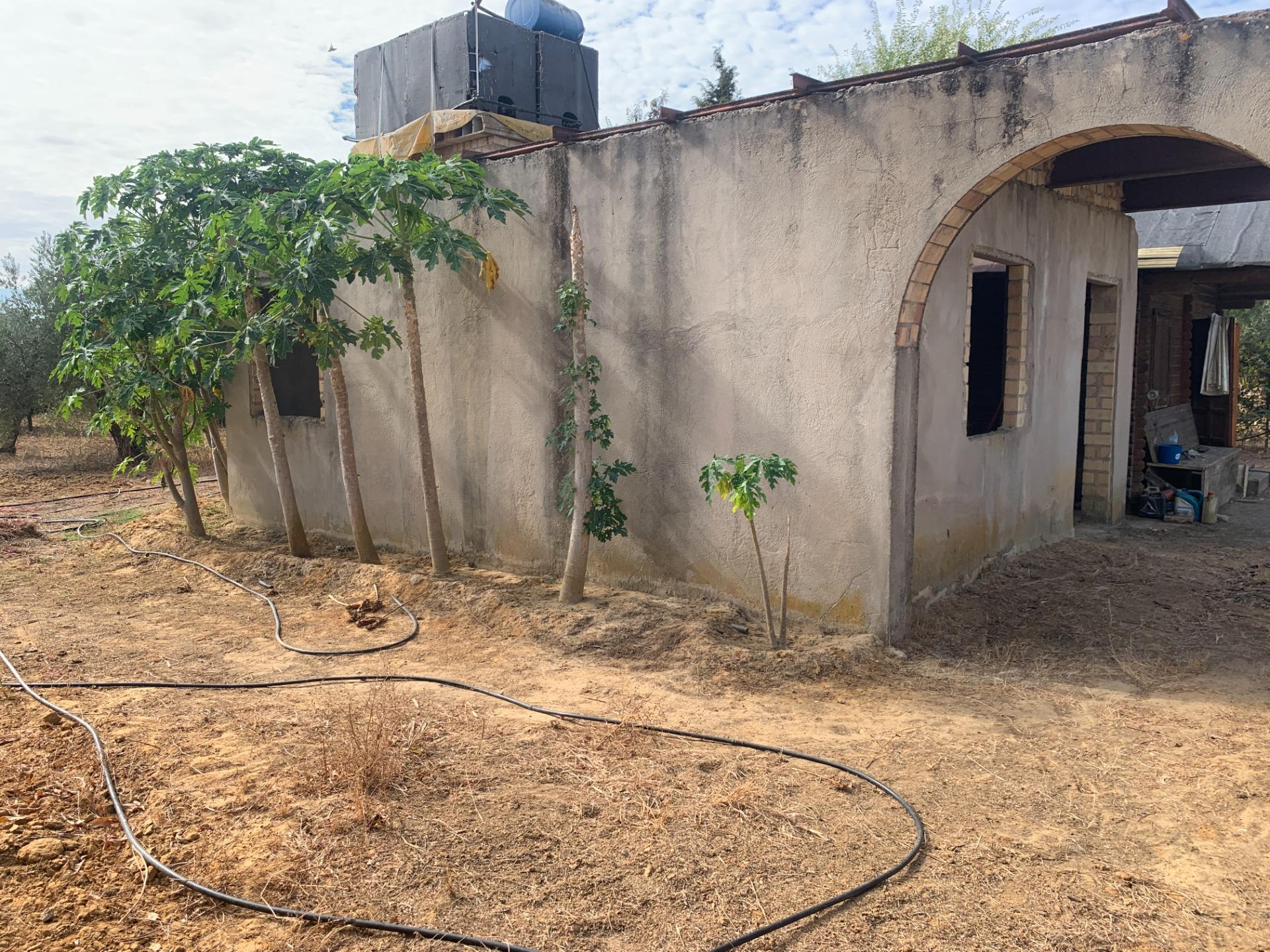 Fincas y solares-Venta-Villalba del Alcor-1968537-Foto-17