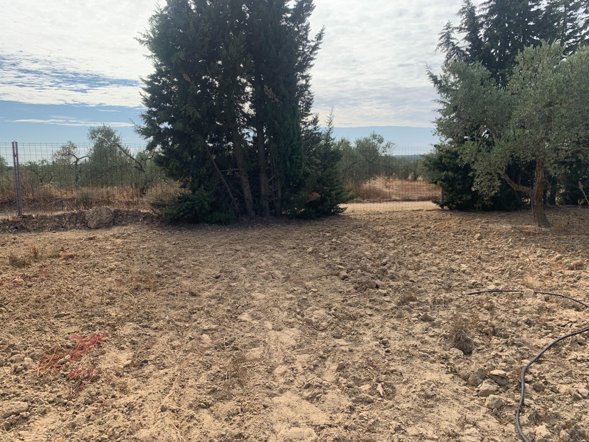 Fincas y solares-Venta-Villalba del Alcor-1968537-Foto-20