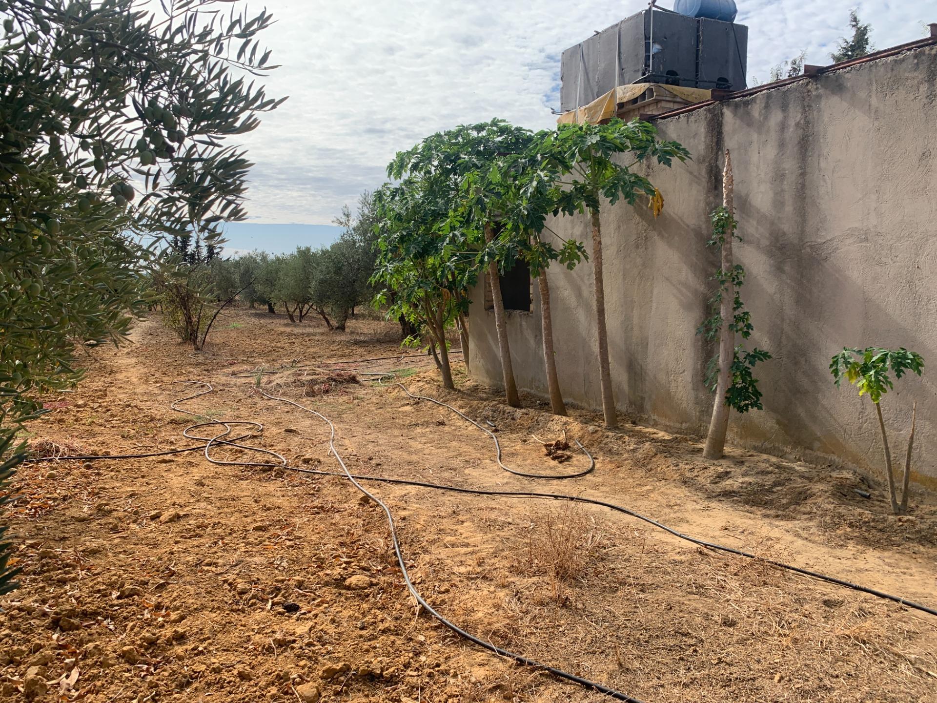 Fincas y solares-Venta-Villalba del Alcor-1968537-Foto-16