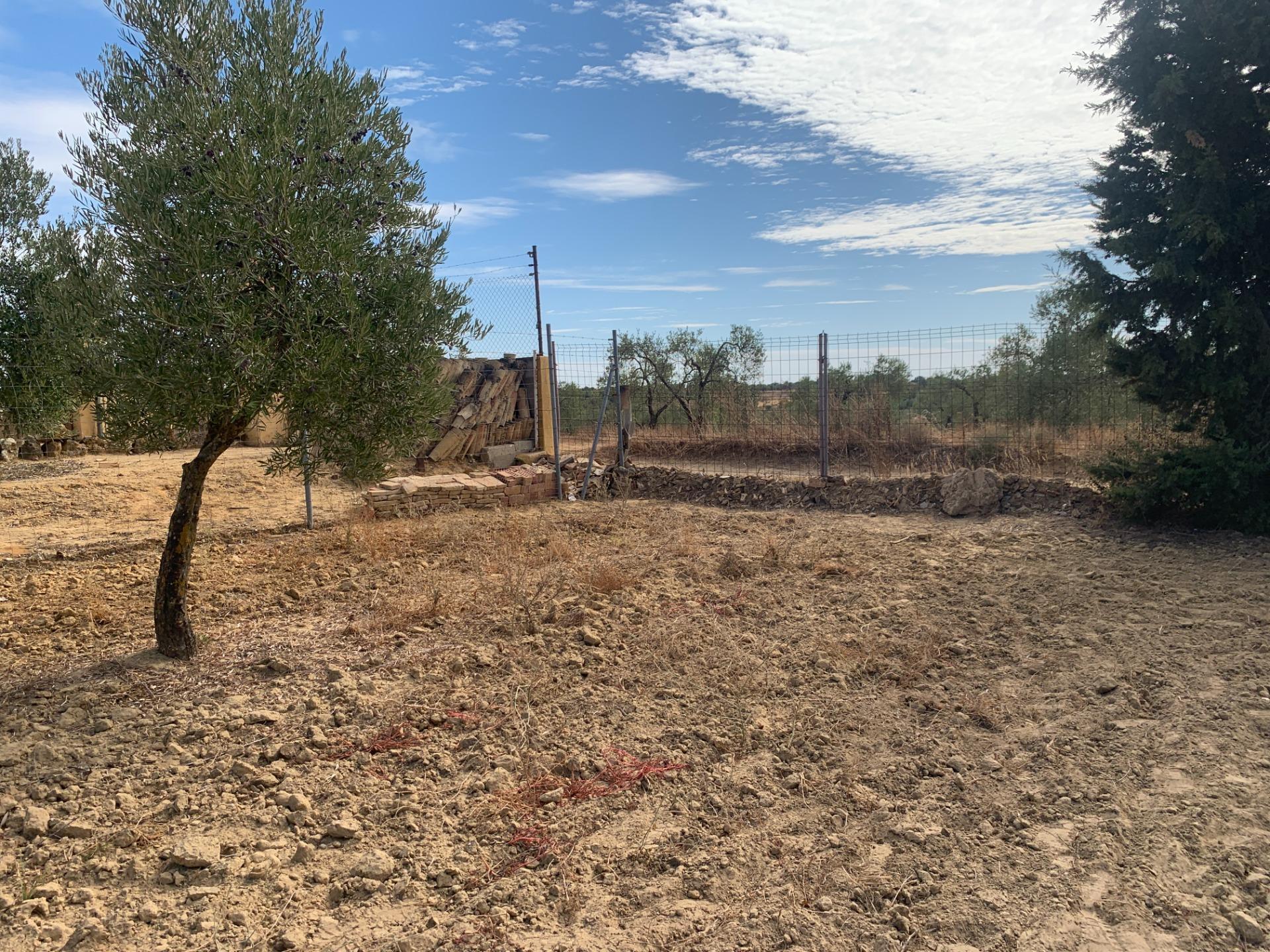 Fincas y solares-Venta-Villalba del Alcor-1968537-Foto-21