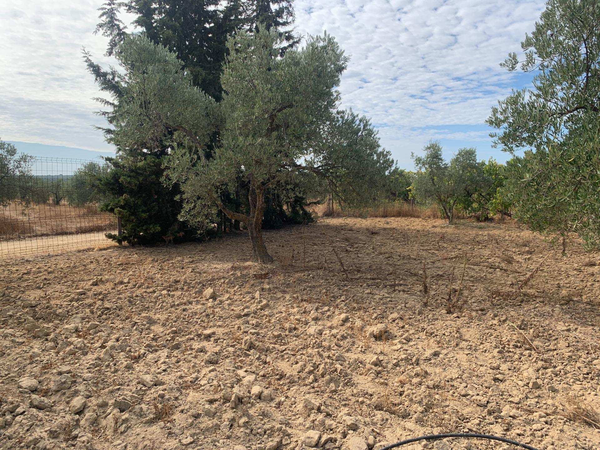 Fincas y solares-Venta-Villalba del Alcor-1968537-Foto-22