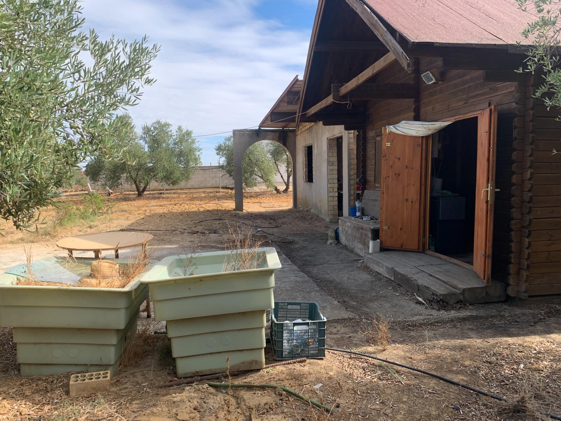 Fincas y solares-Venta-Villalba del Alcor-1968537-Foto-30