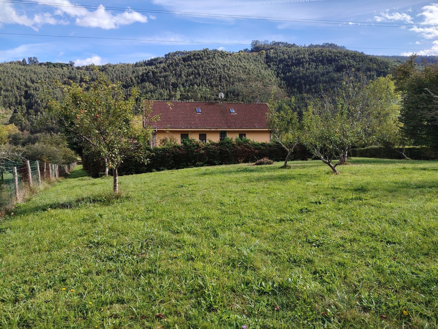 Casas o chalets-Venta-Villaviciosa-1943491-Foto-13