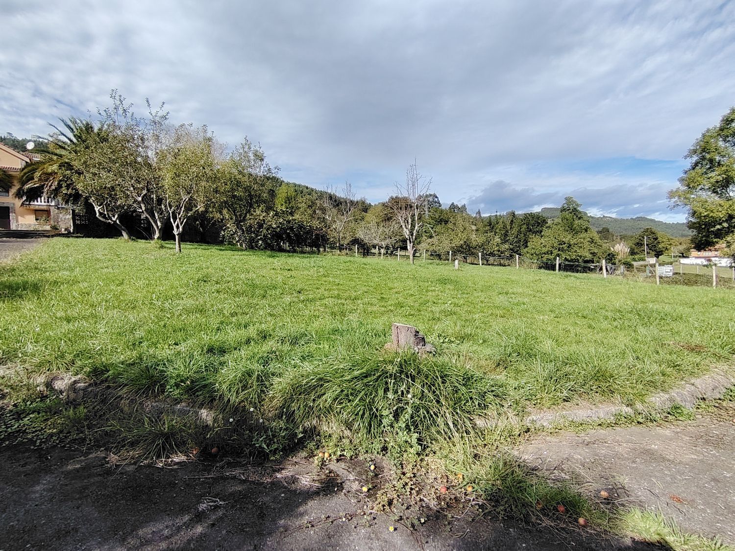 Casas o chalets-Venta-Villaviciosa-1943491-Foto-23