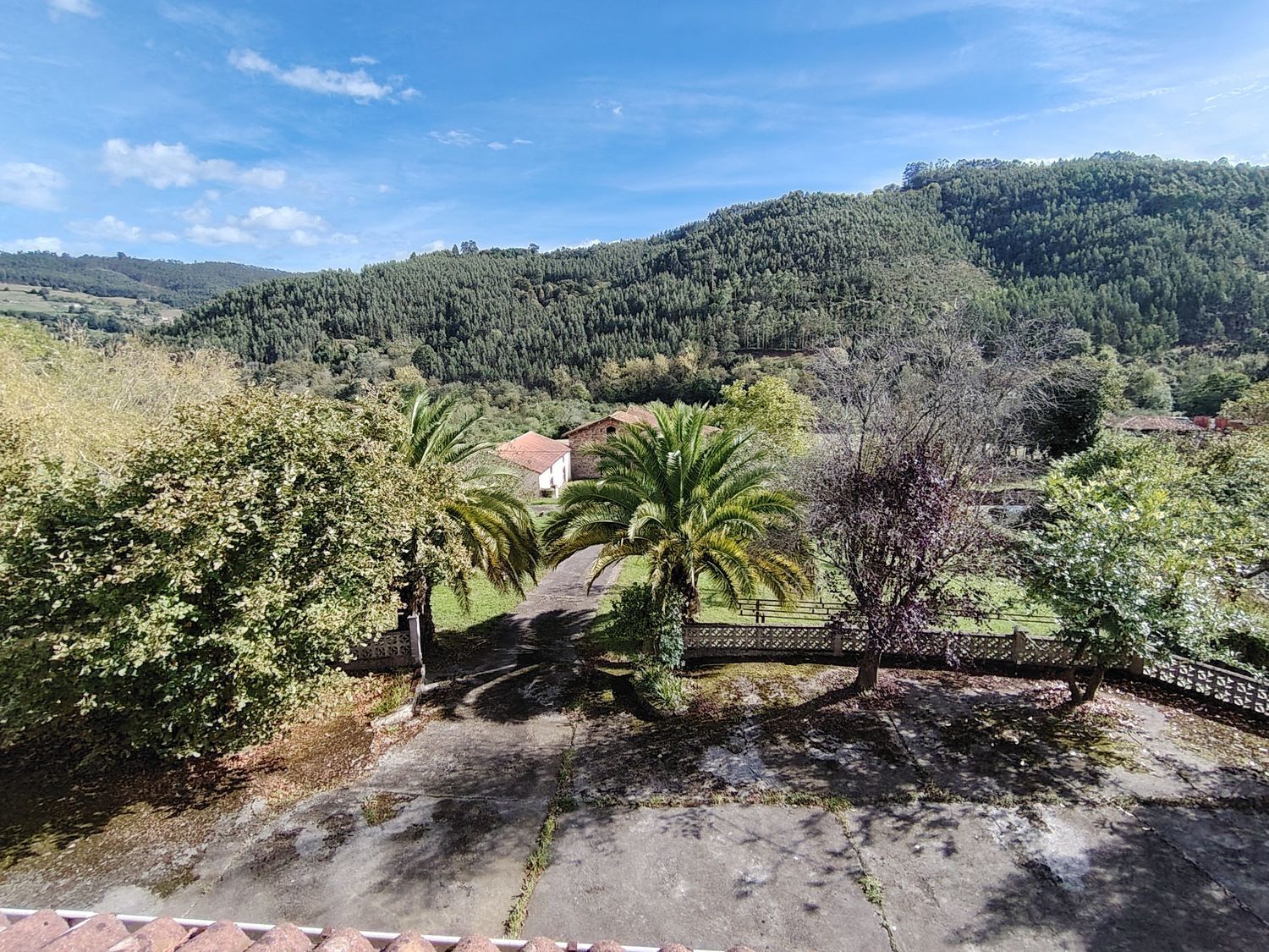 Casas o chalets-Venta-Villaviciosa-1943491-Foto-89