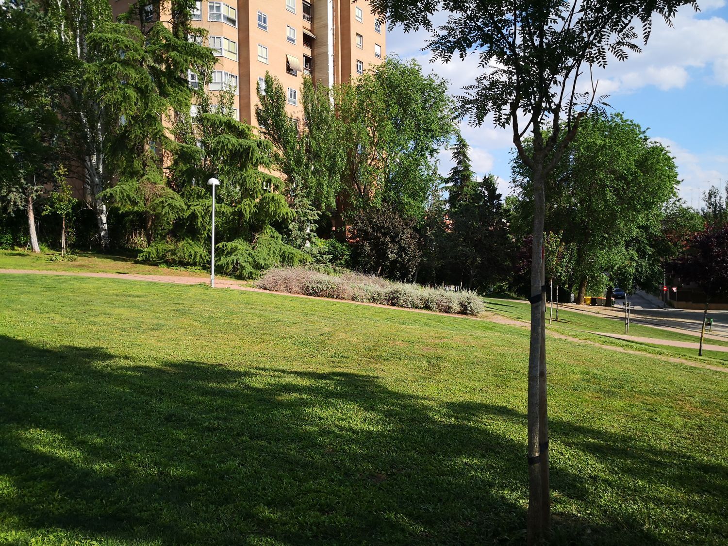 Pisos-Alquiler-Madrid-1968903-Foto-41