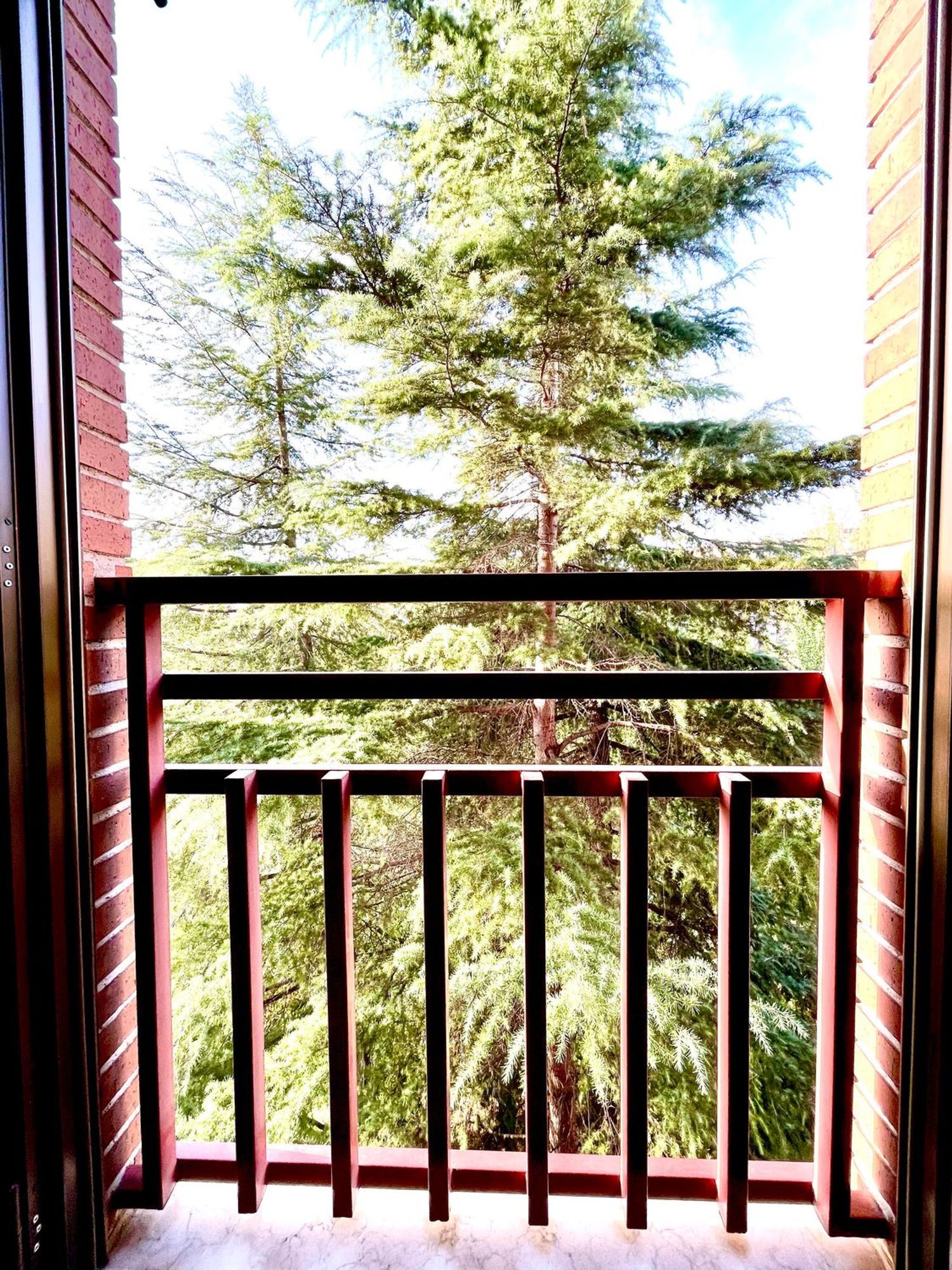 Pisos-Alquiler-Madrid-1762748-Foto-14