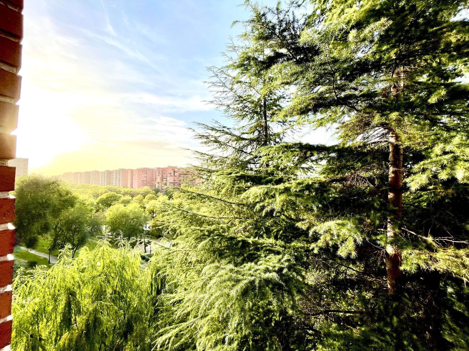 Pisos-Alquiler-Madrid-1762748-Foto-15