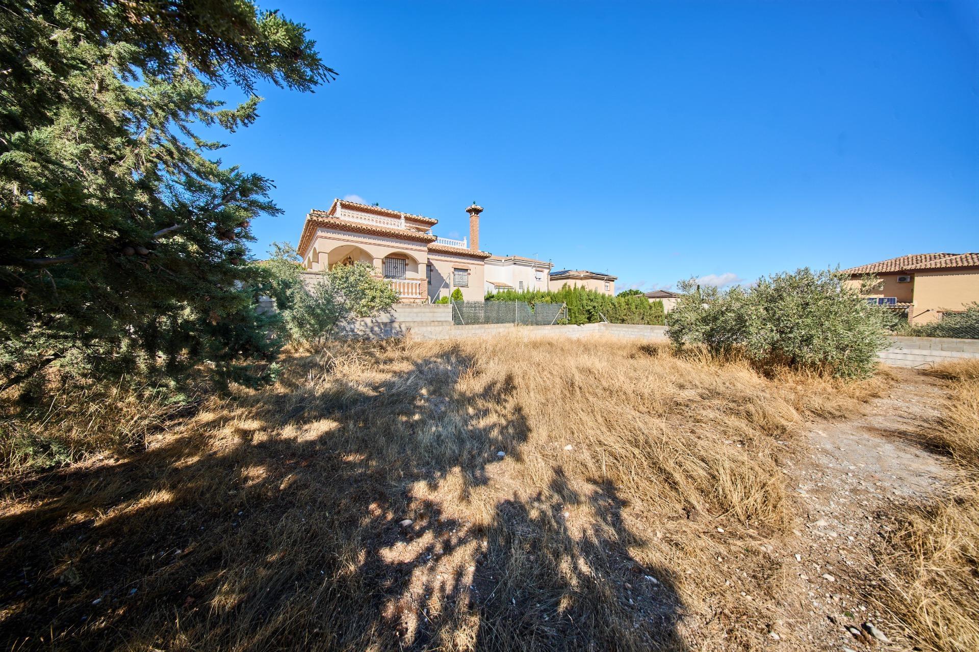 Fincas y solares-Venta-Vegas del Genil-1942903-Foto-3