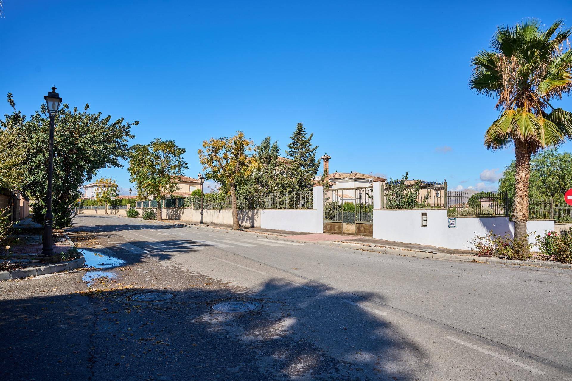 Fincas y solares-Venta-Vegas del Genil-1942903-Foto-11