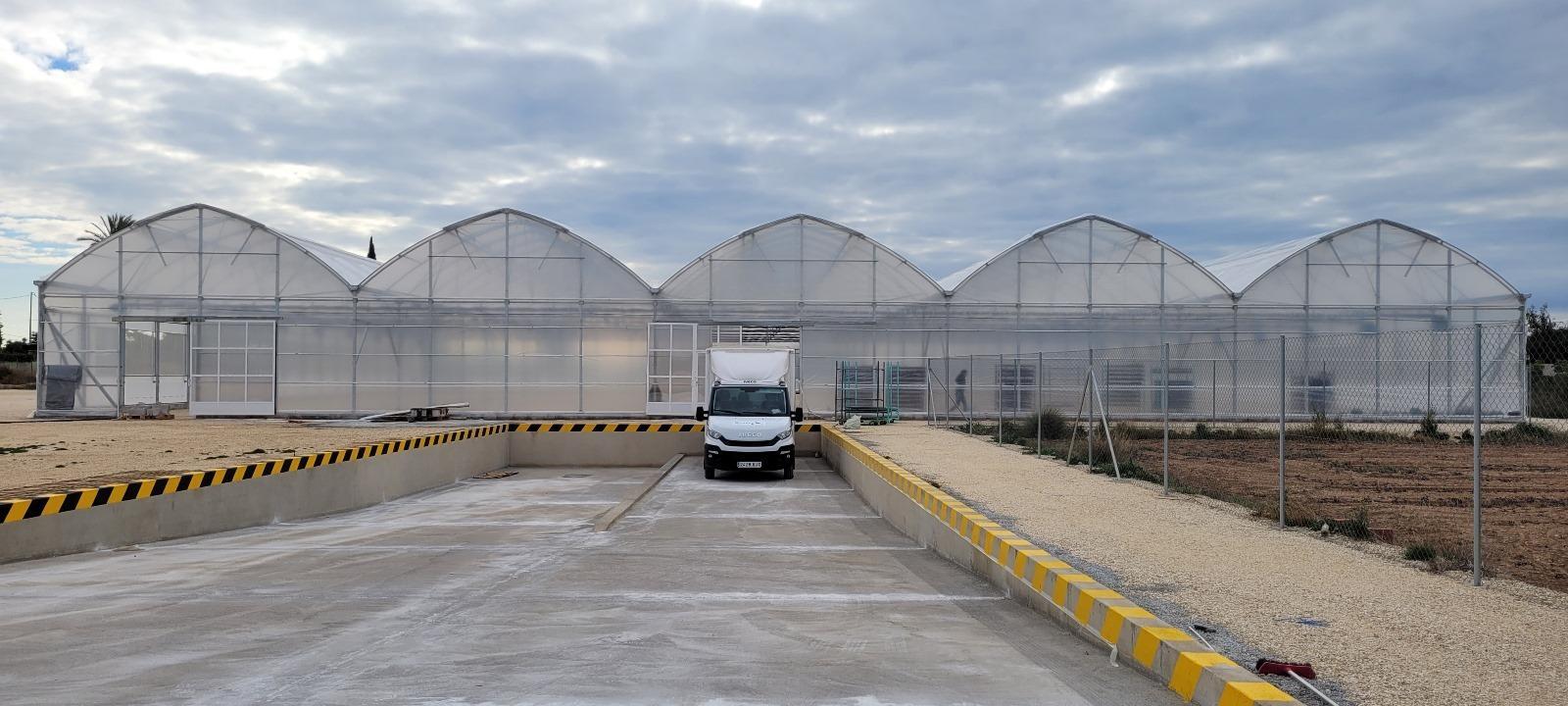 Fincas y solares-Venta-Elche-1943521-Foto-3