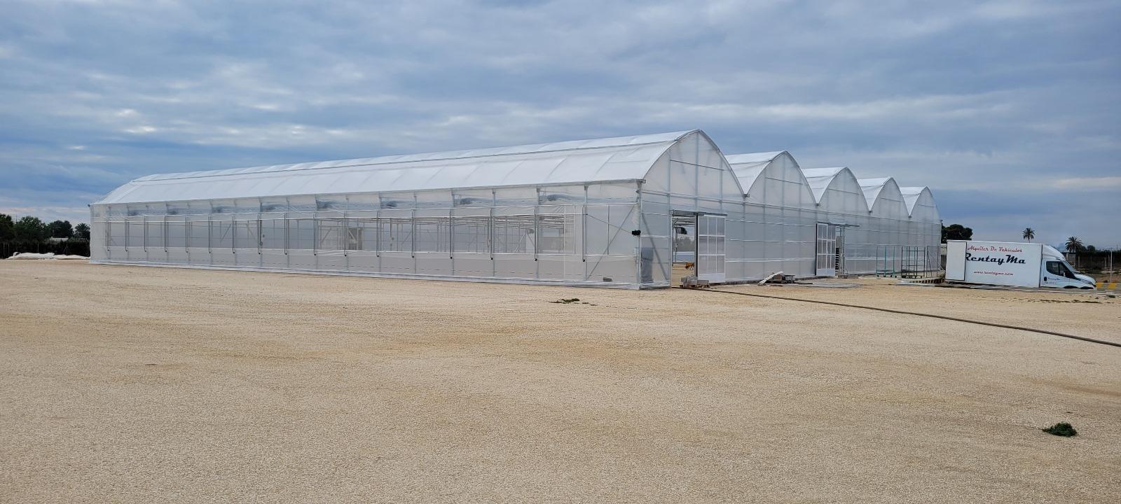 Fincas y solares-Venta-Elche-1943521