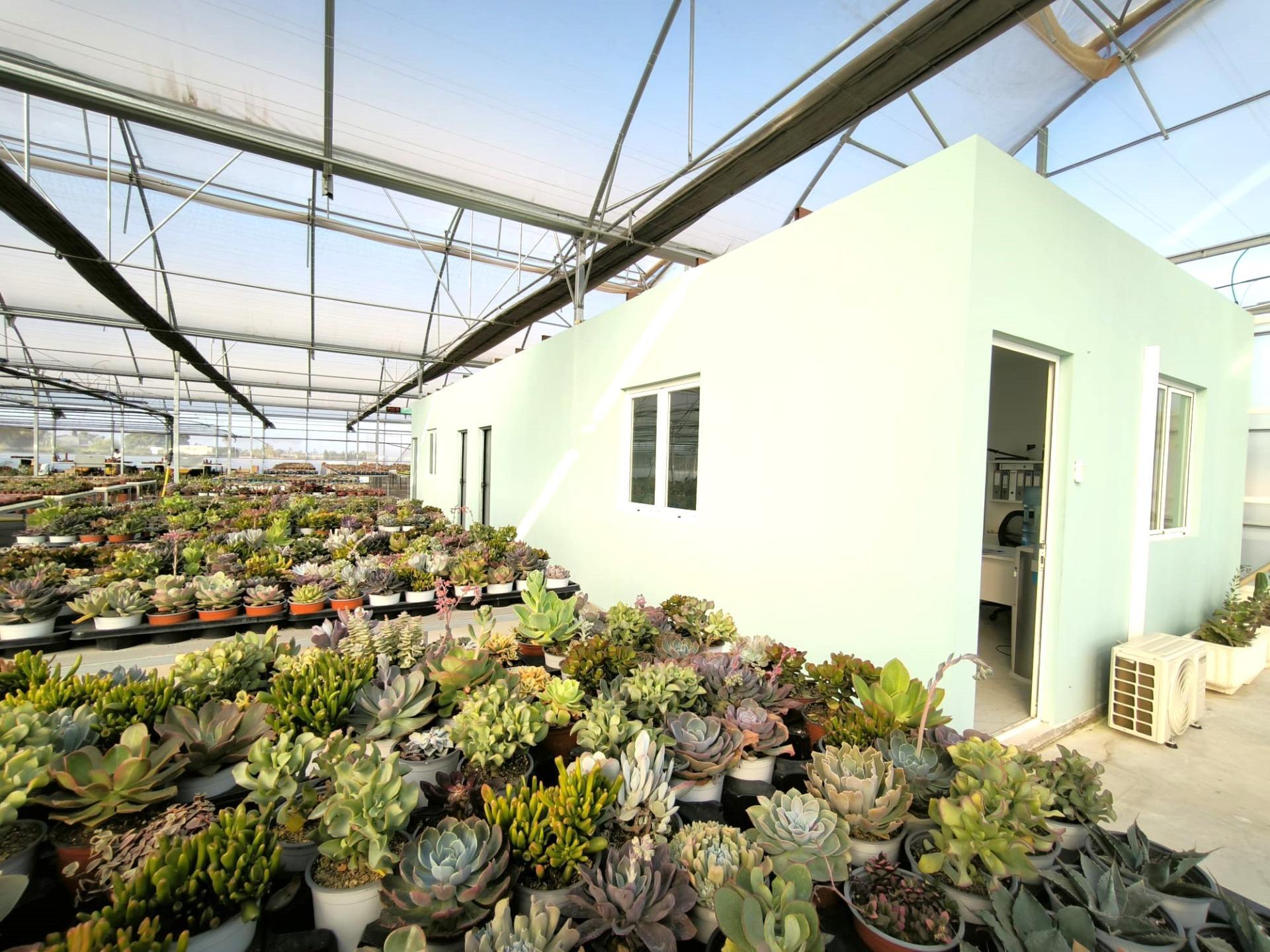 Fincas y solares-Venta-Elche-1943521-Foto-5