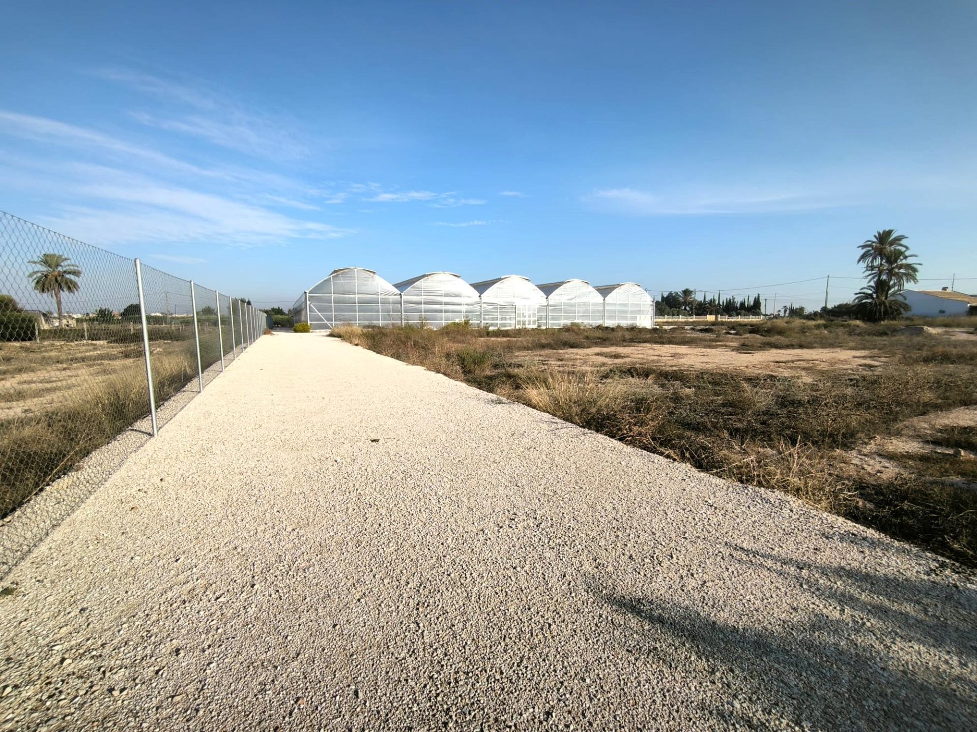 Fincas y solares-Venta-Elche-1943521-Foto-21