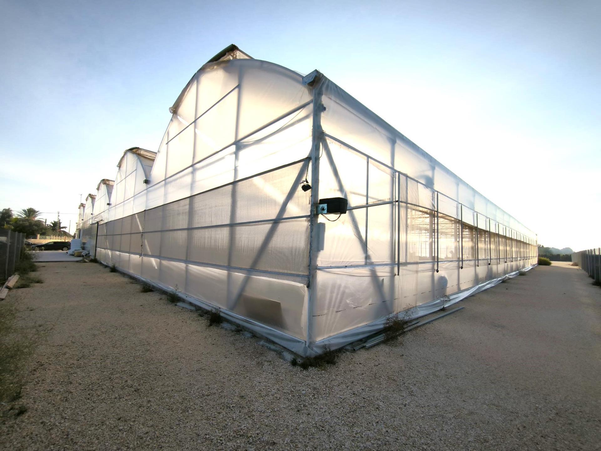 Fincas y solares-Venta-Elche-1943521-Foto-22