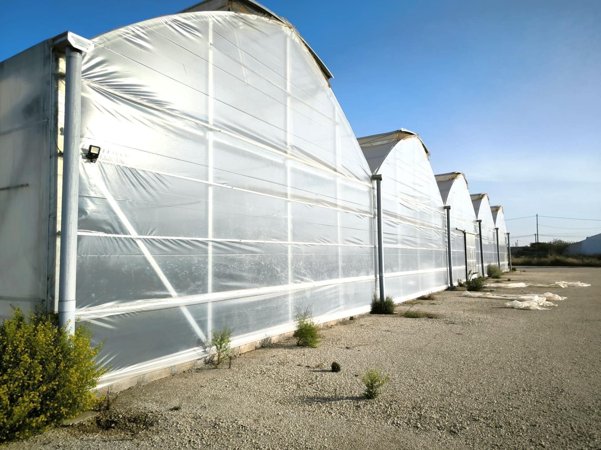 Fincas y solares-Venta-Elche-1943521-Foto-23