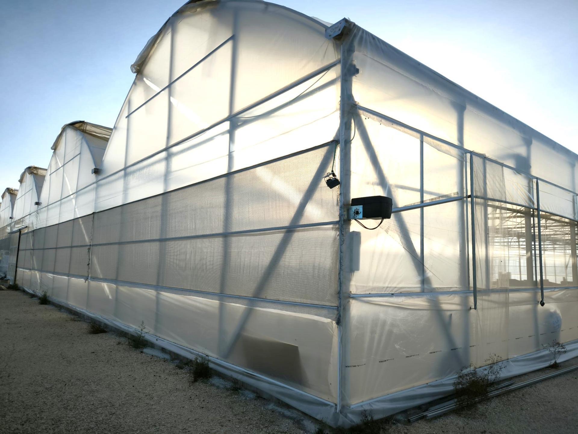 Fincas y solares-Venta-Elche-1943521-Foto-24