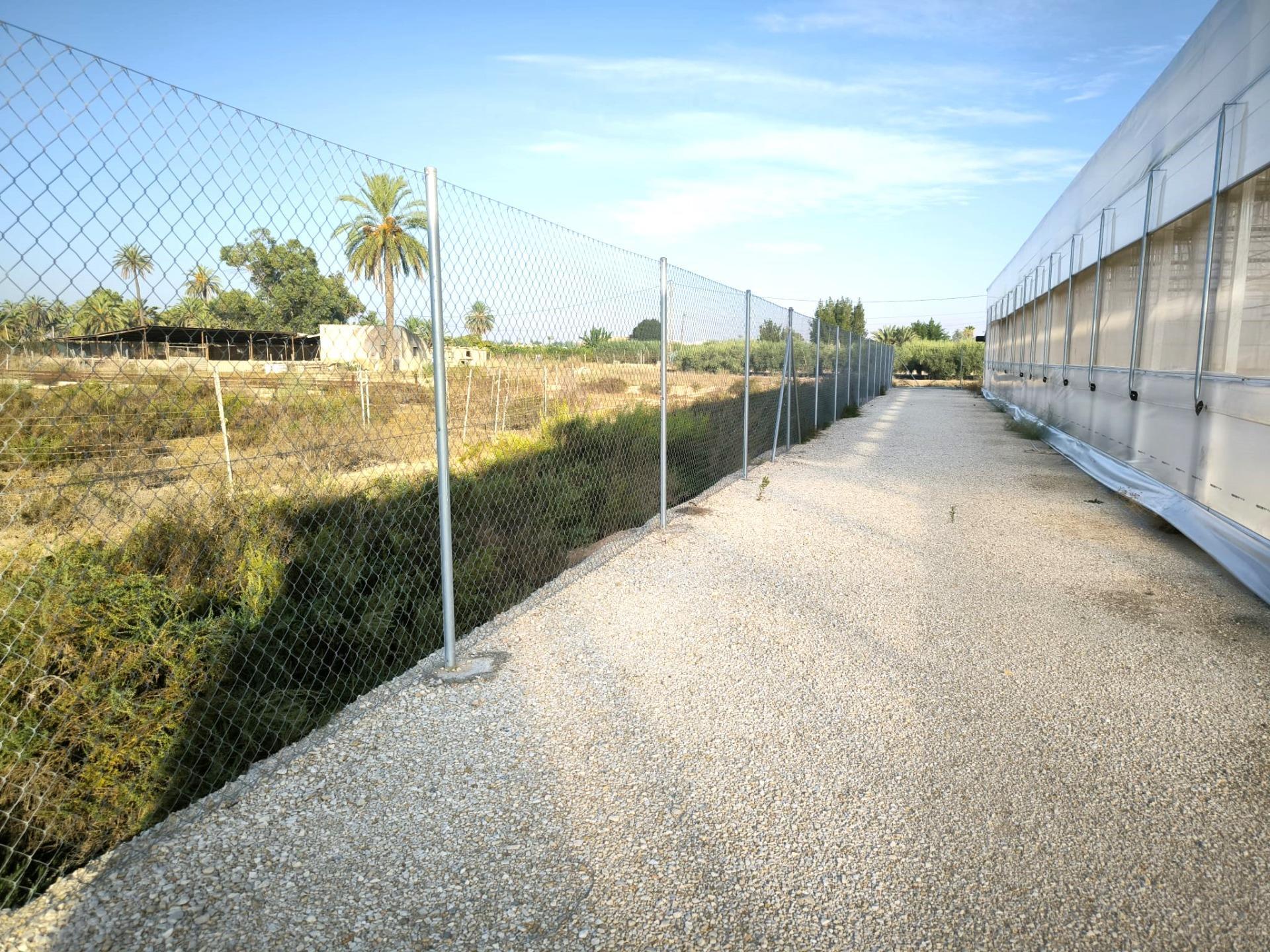 Fincas y solares-Venta-Elche-1943521-Foto-25