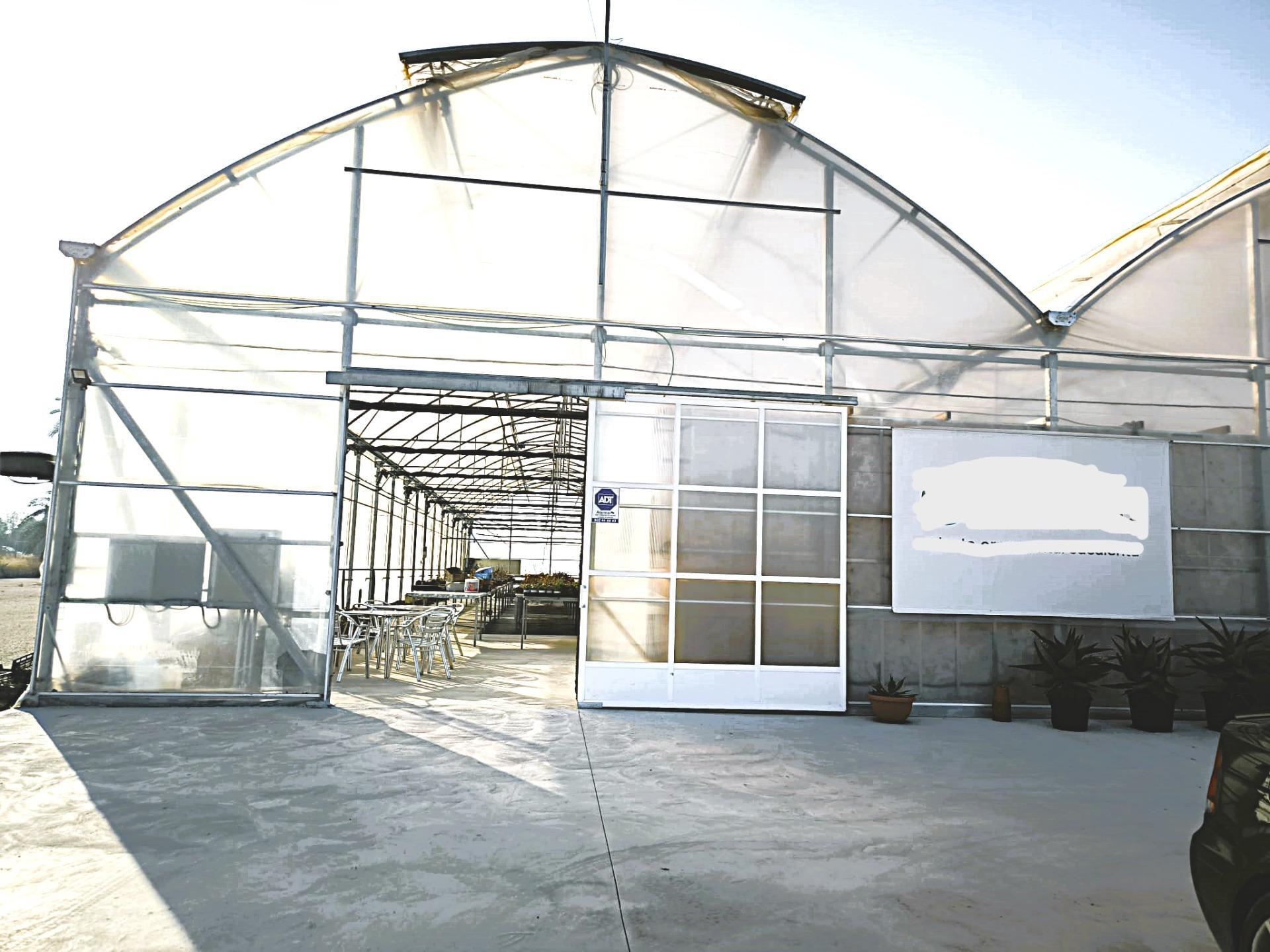 Fincas y solares-Venta-Elche-1943521-Foto-28