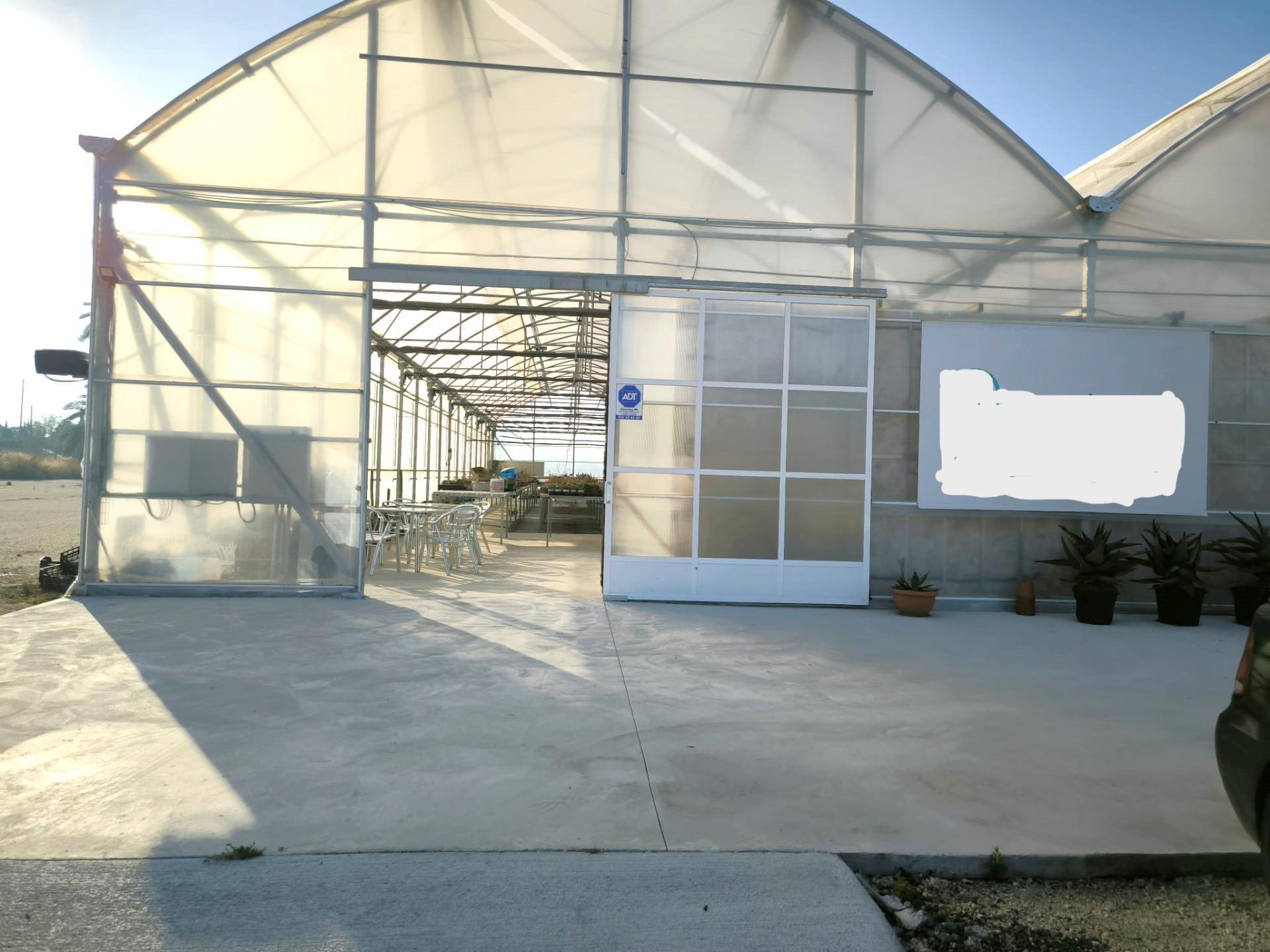 Fincas y solares-Venta-Elche-1943521-Foto-27