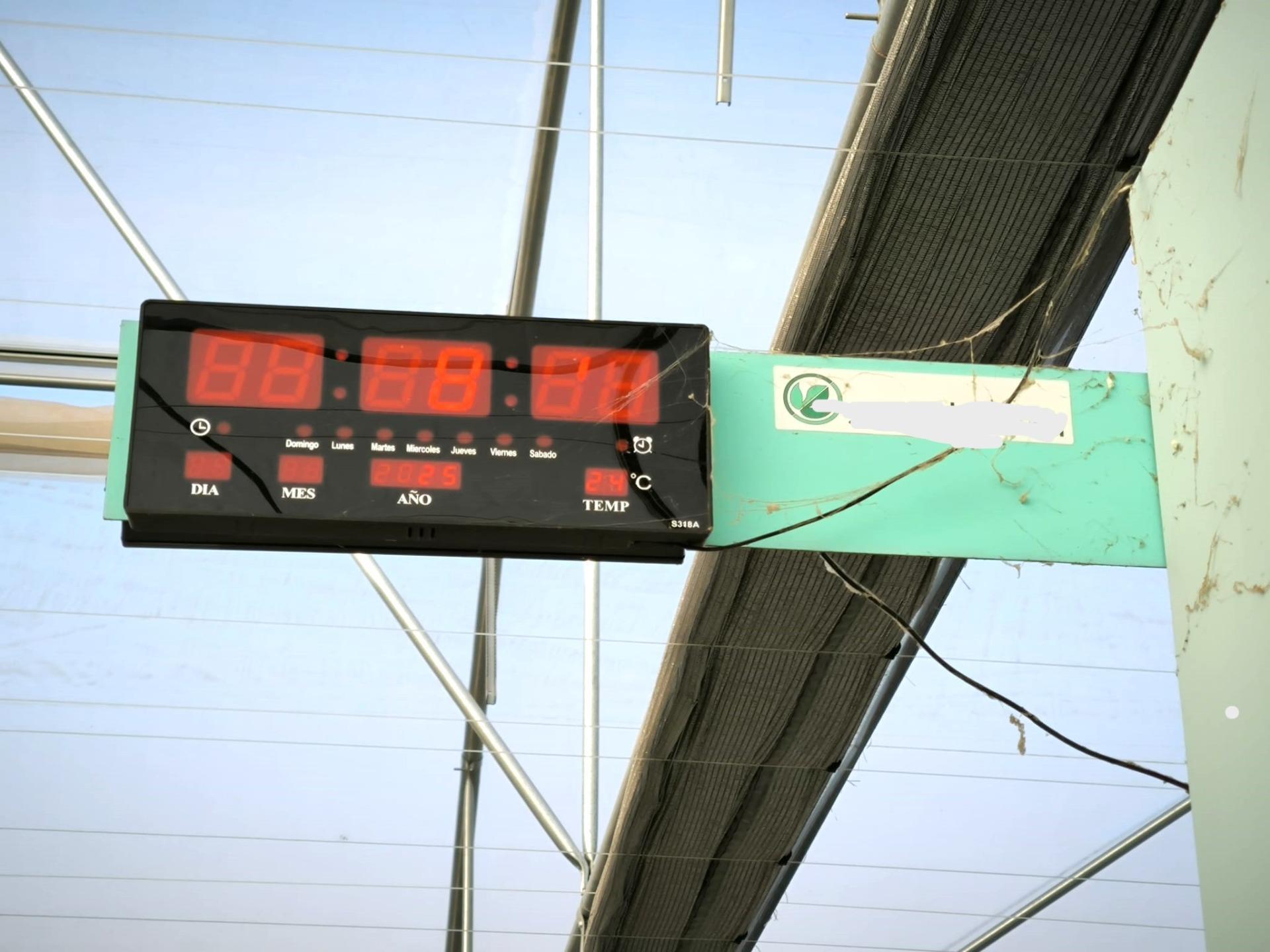 Fincas y solares-Venta-Elche-1943521-Foto-34