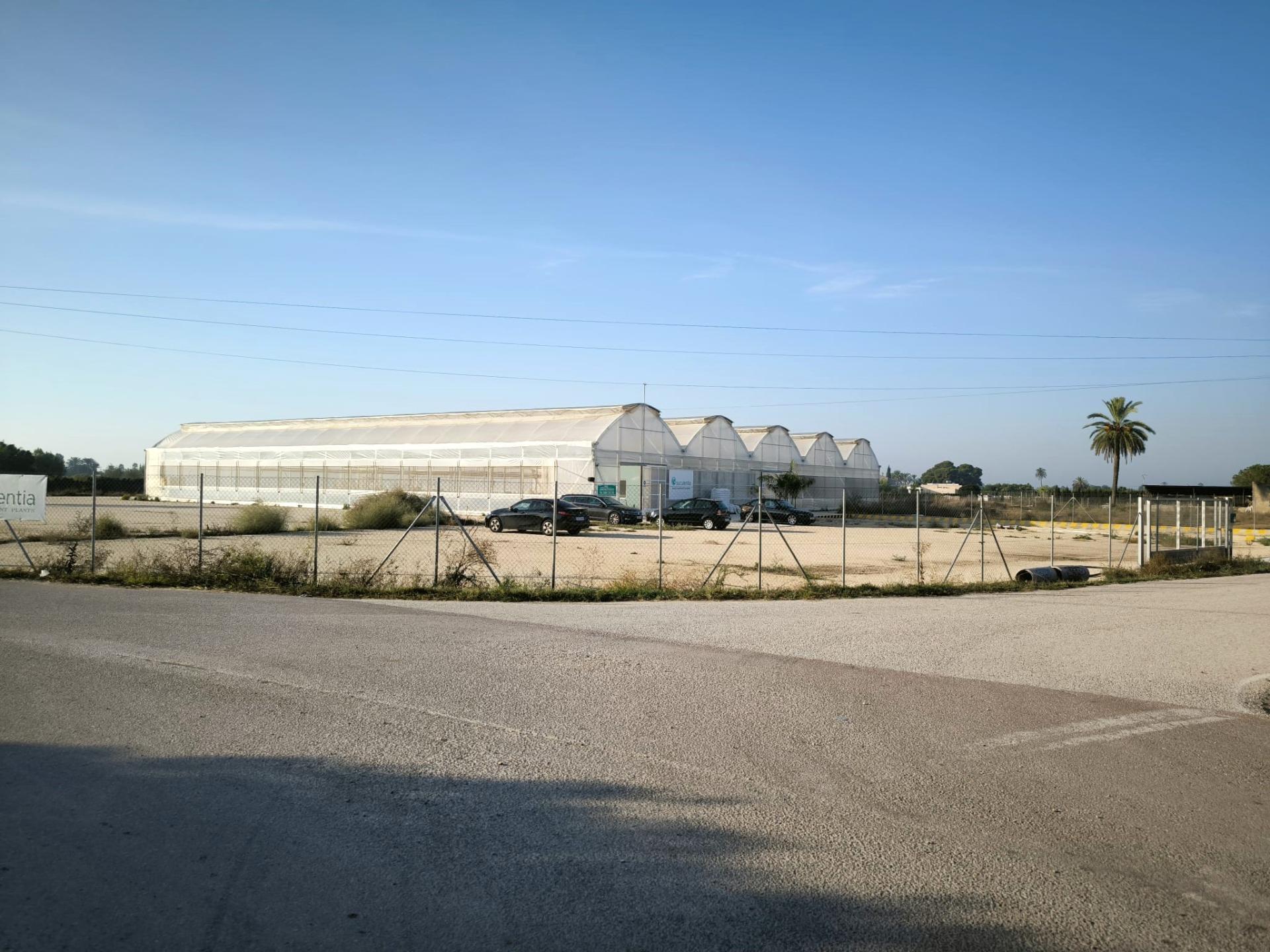 Fincas y solares-Venta-Elche-1943521-Foto-35